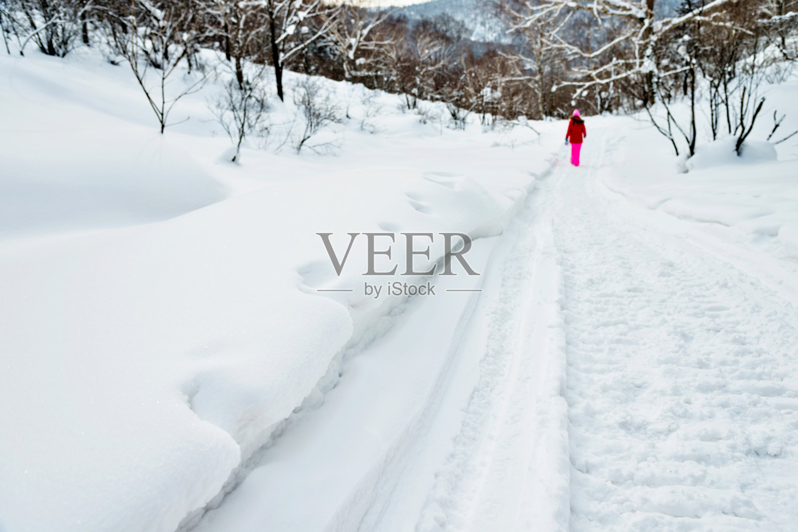 在冬季森林里徒步旅行的女人照片摄影图片