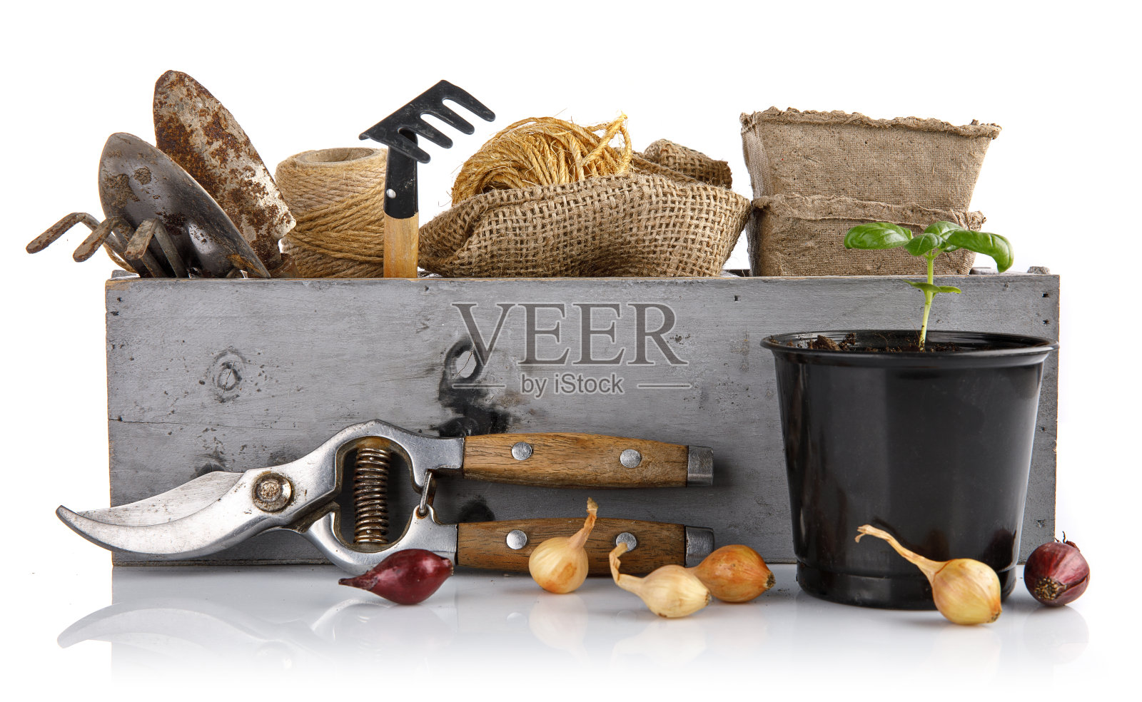 园艺种植。带有洋葱苗的园艺工具照片摄影图片