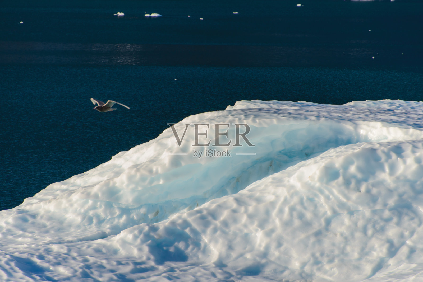 格陵兰的景观有美丽的彩色岩石和冰山。照片摄影图片