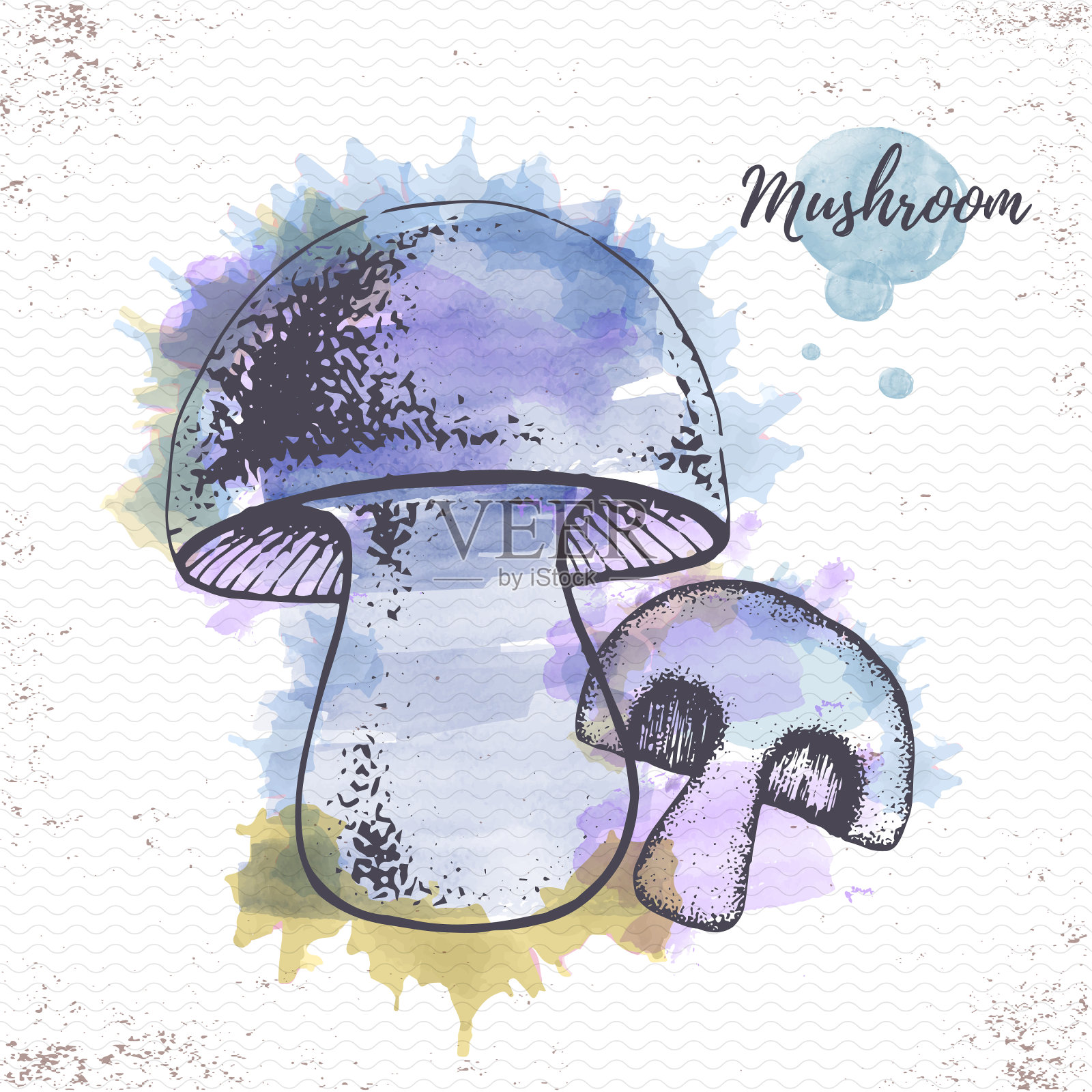 水彩蘑菇草图。蔬菜矢量图插画图片素材