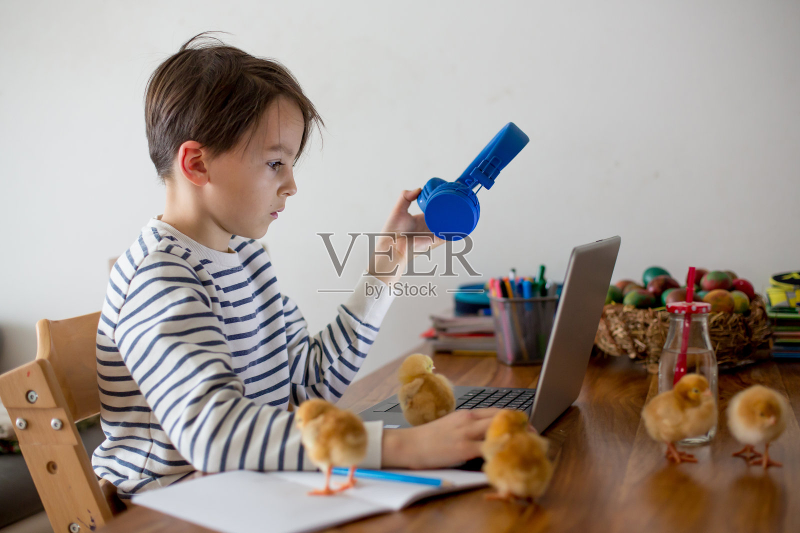 上学的孩子,坐在桌子上用笔记本电脑,写学校的任务,而在家上学,小小鸡在桌子上跑照片摄影图片