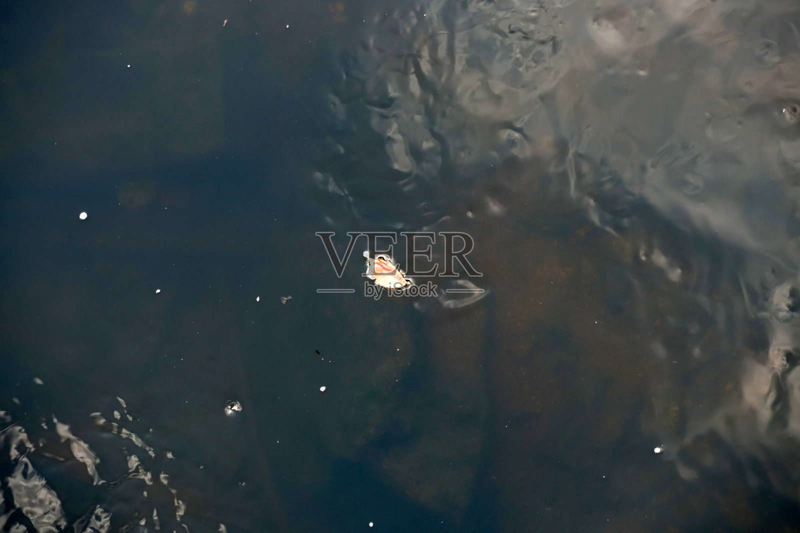 春天巴伐利亚森林中的一条小溪照片摄影图片