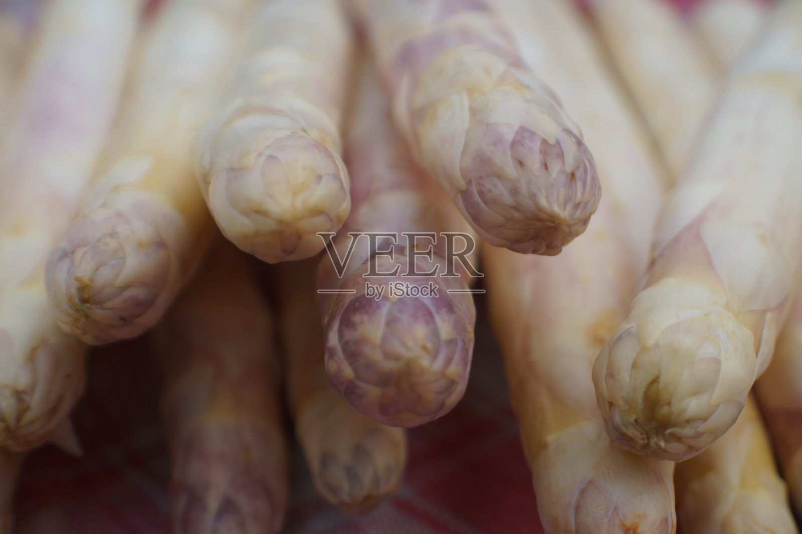 新鲜的芦笋照片摄影图片