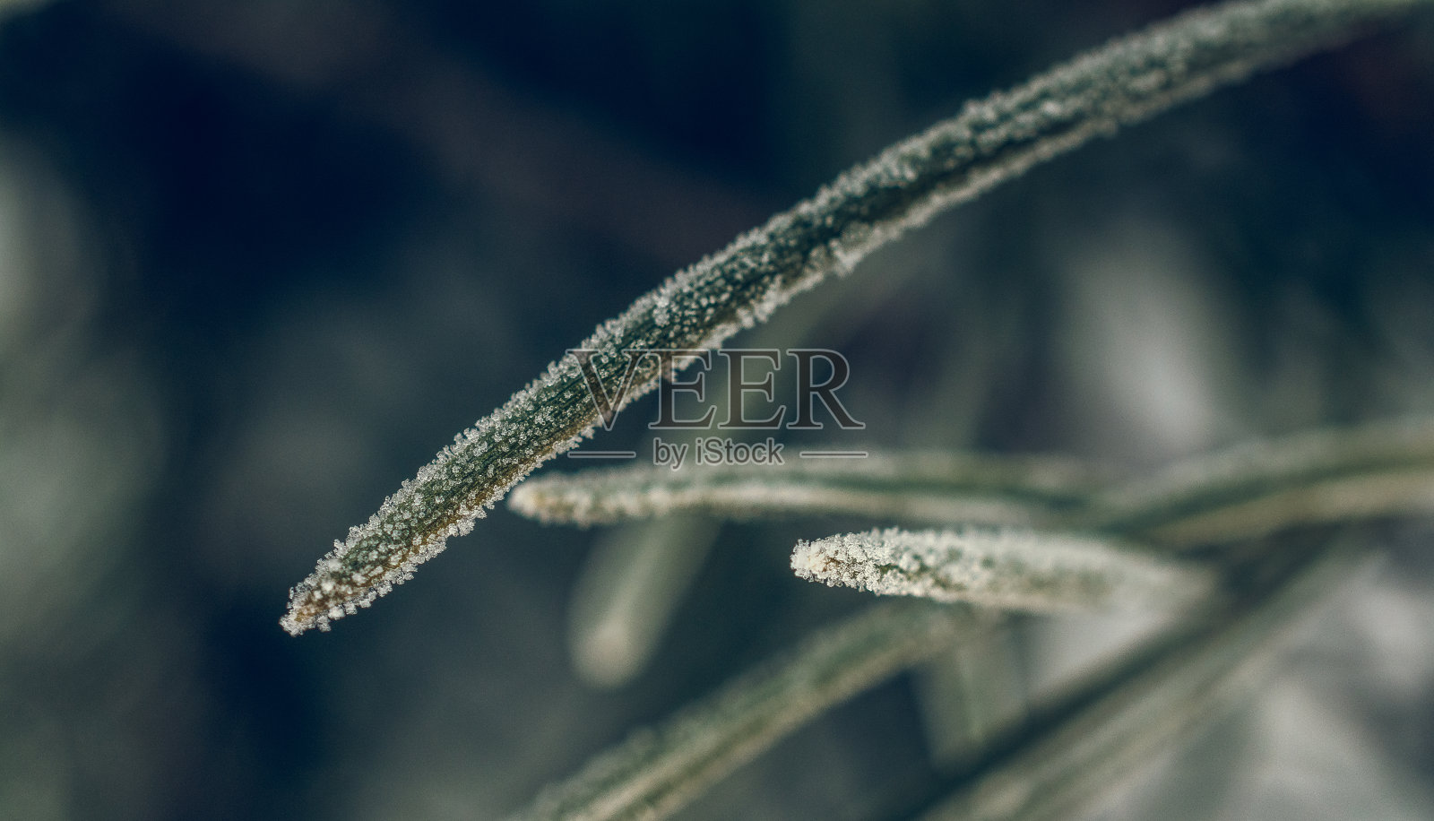 冰在冬天照片摄影图片