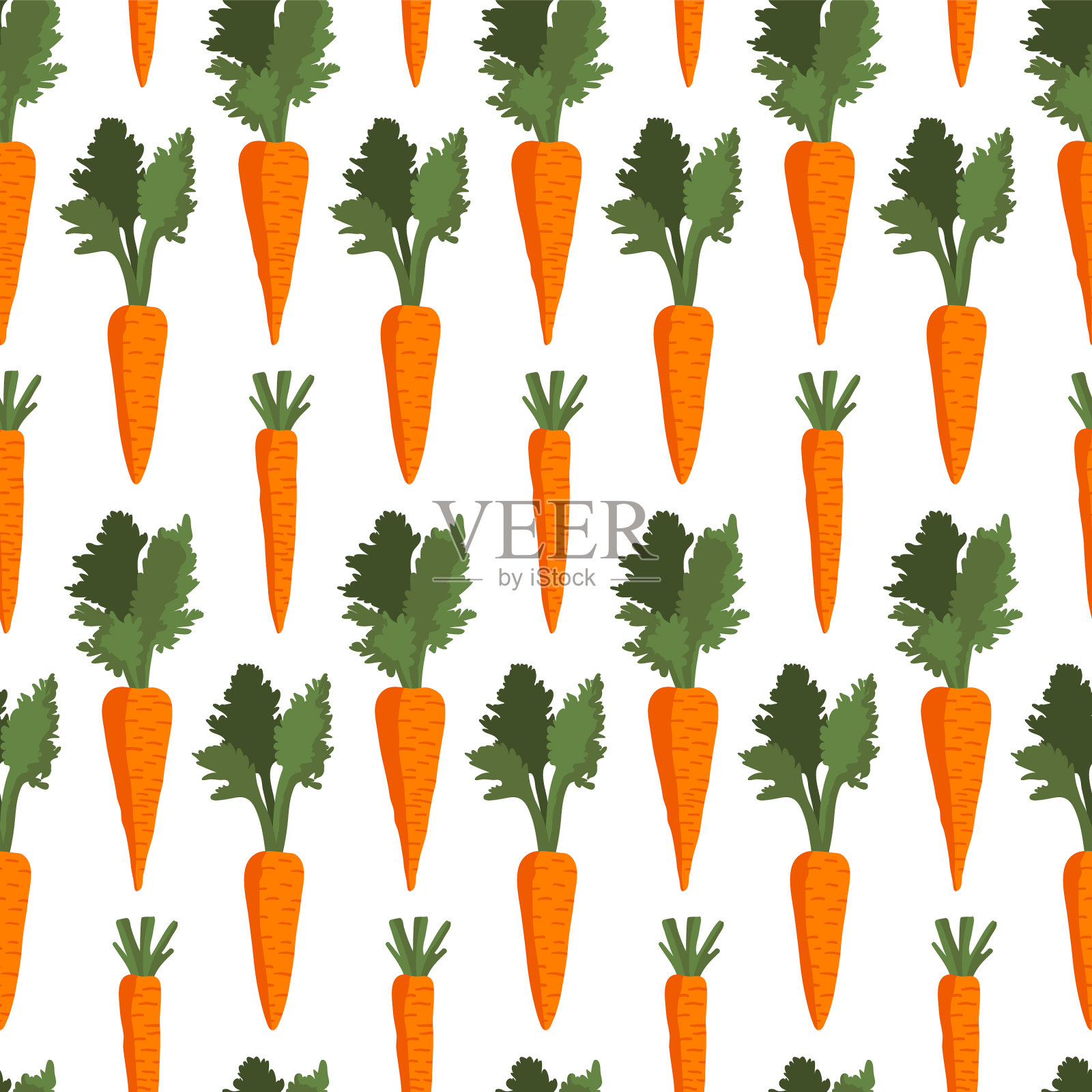 夏季图案与胡萝卜花和叶插画图片素材