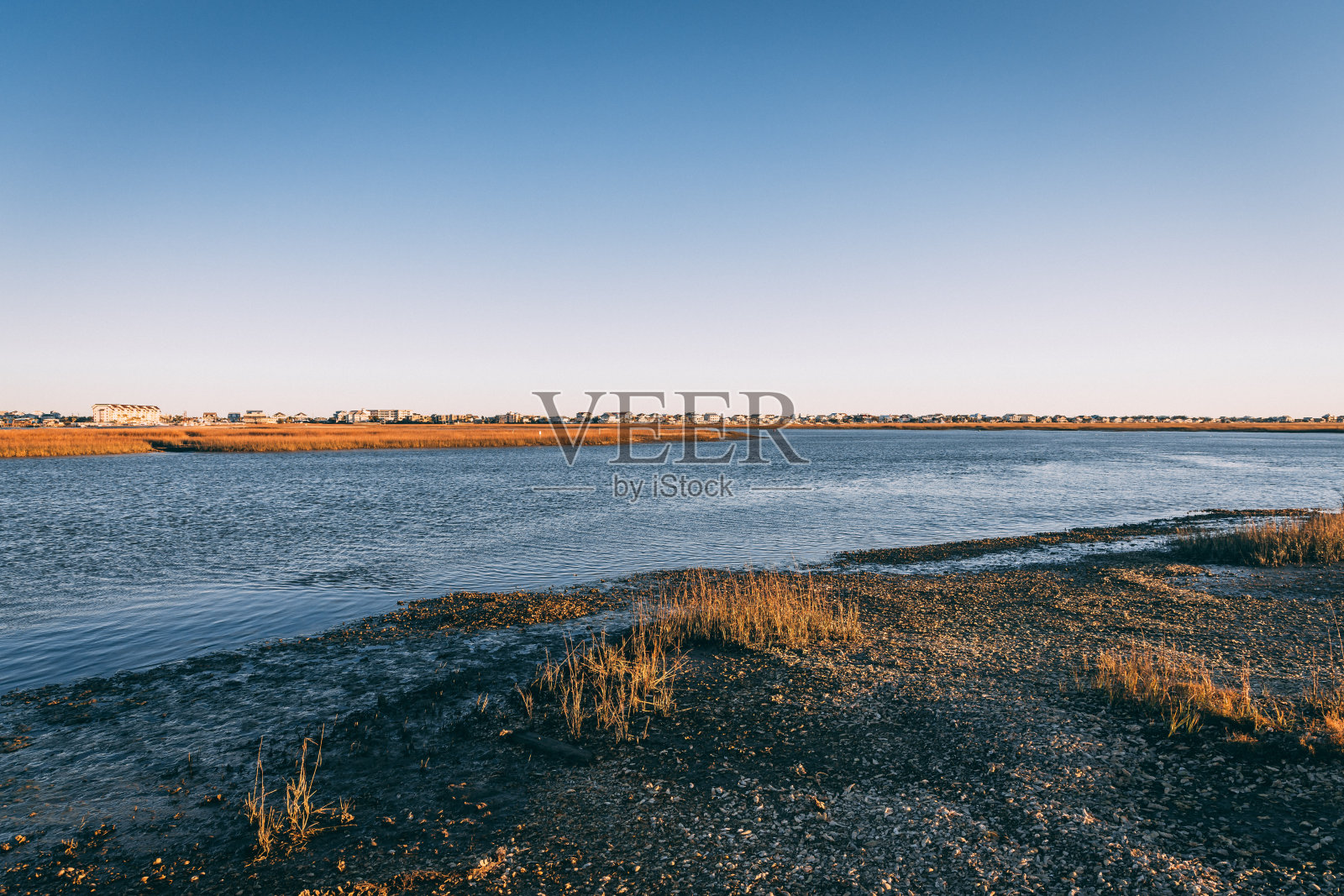 南卡罗来纳沼泽的岸边,远处有房子照片摄影图片