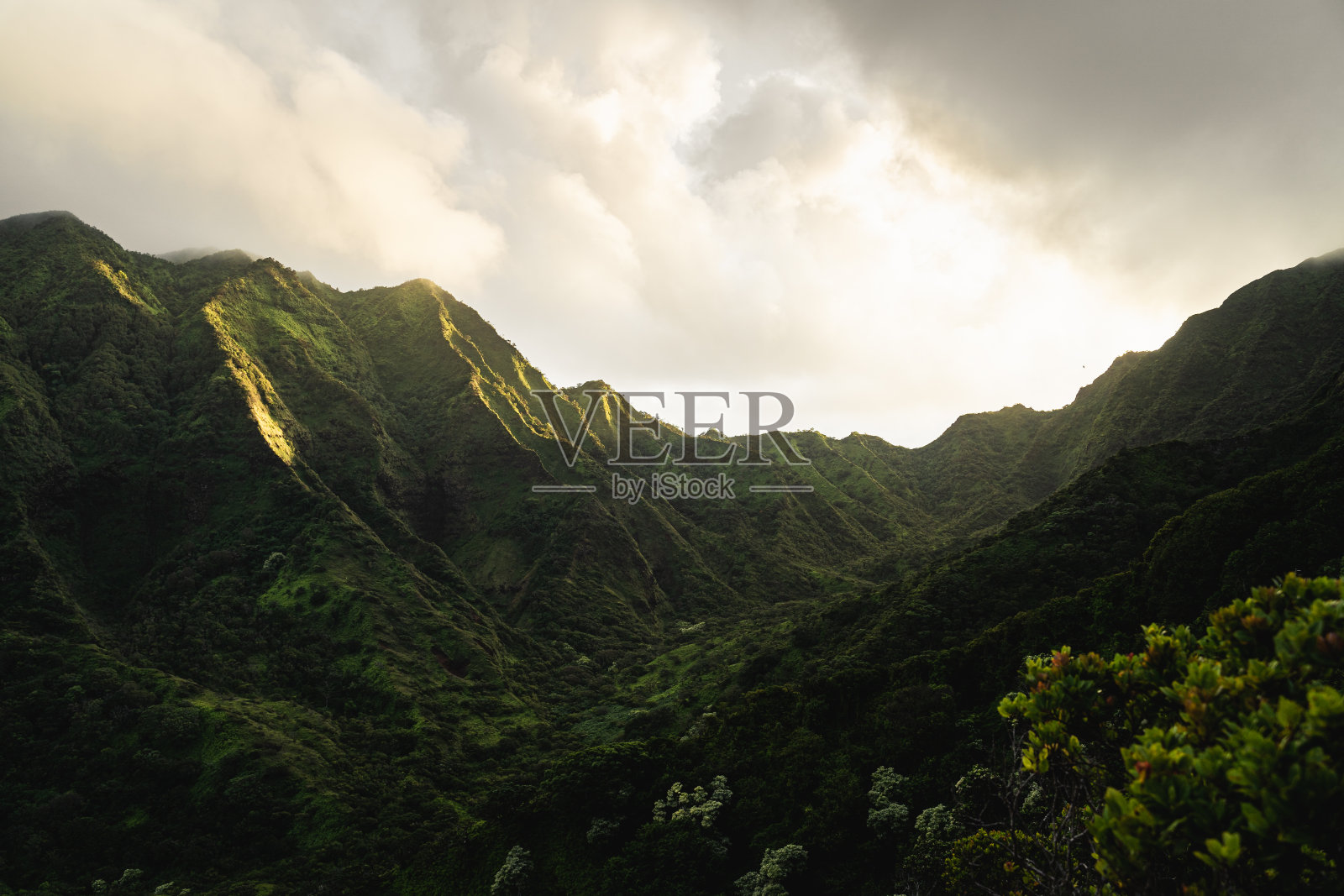 美丽而崎岖的绿色瓦胡岛山脉。照片摄影图片