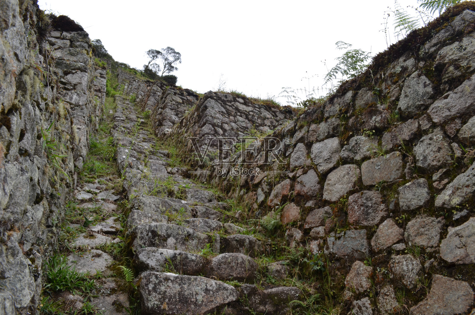 秘鲁马丘比丘印加古道上Winay Wayna印加遗址照片摄影图片