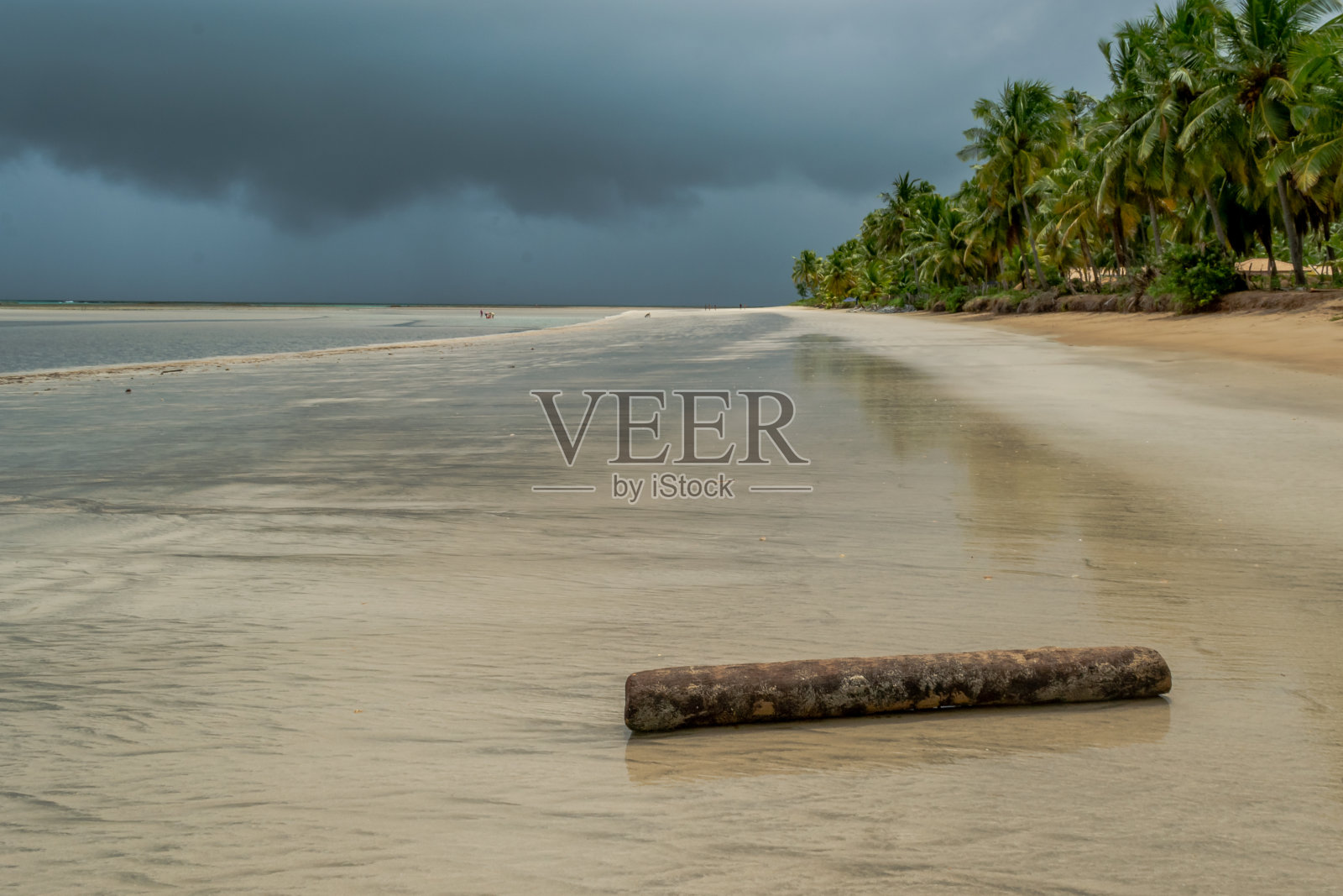 巴西海滩-马拉戈吉海滩,阿拉戈亚斯州照片摄影图片