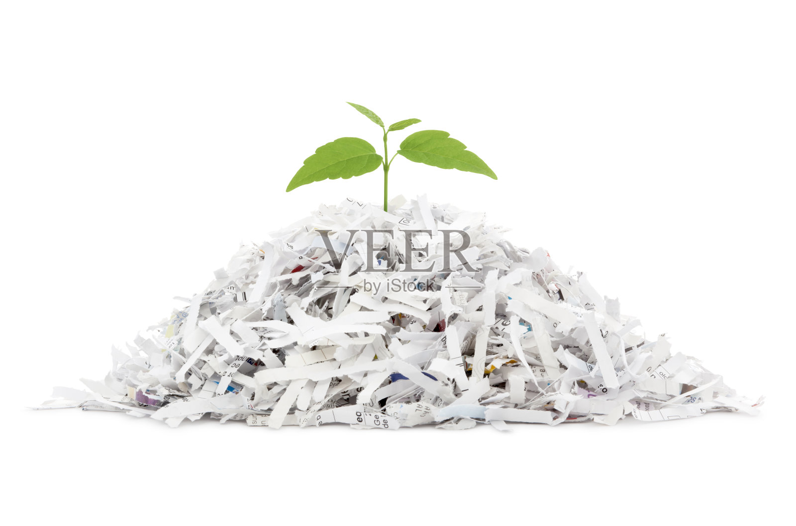 碎纸堆和生长的植物照片摄影图片