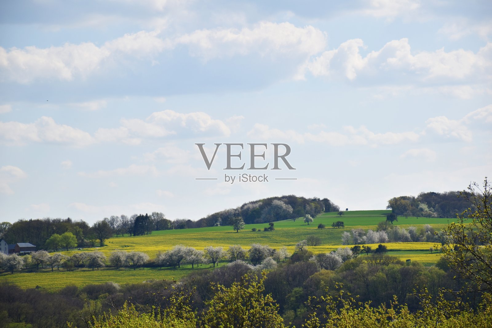 春天的景色,五彩缤纷的田野照片摄影图片