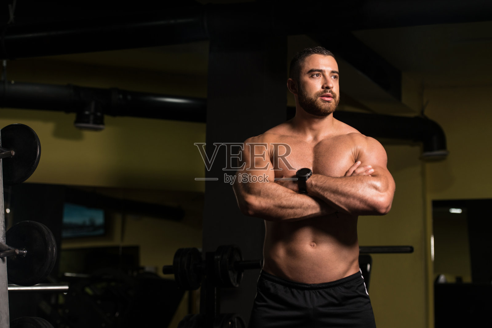 一个身体健康、肌肉发达的男人的肖像照片摄影图片