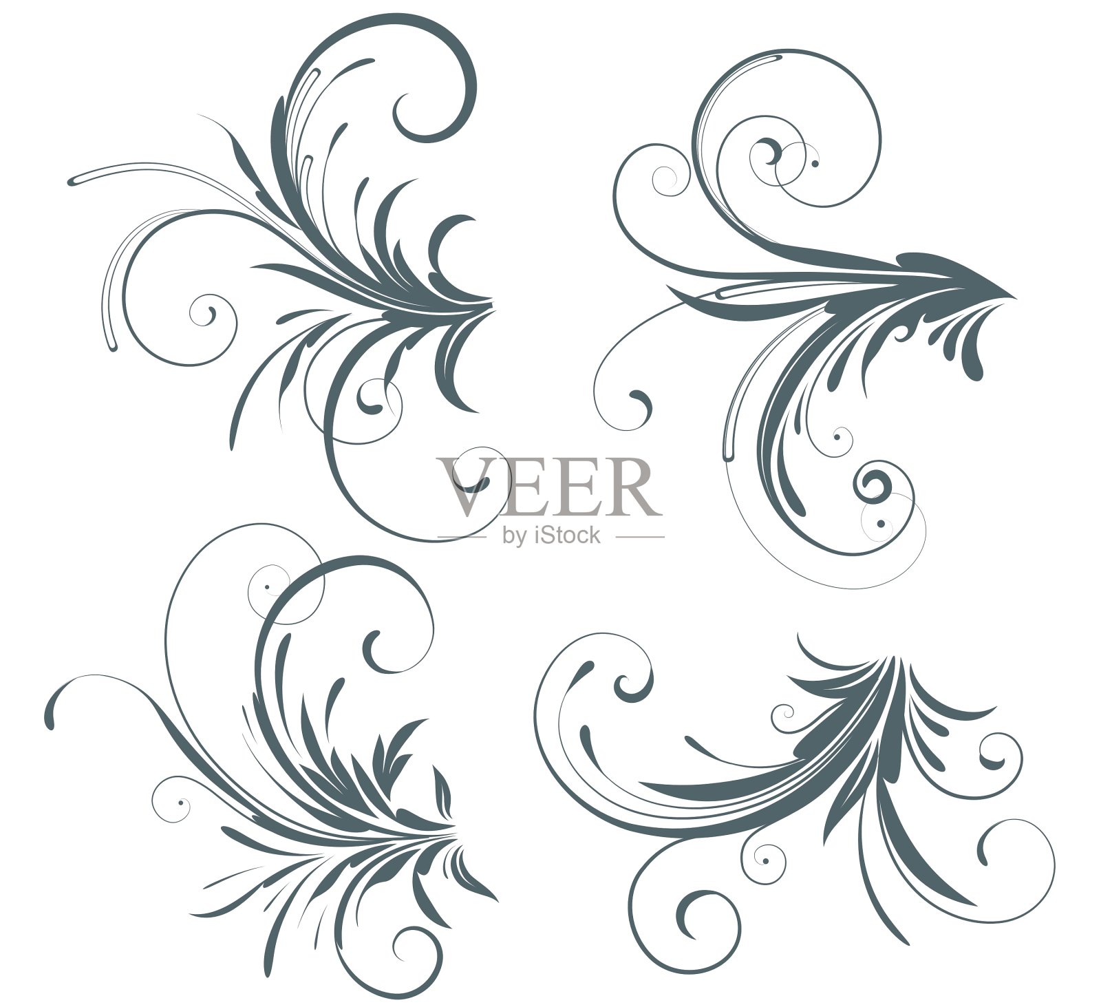 花卉元素插画图片素材