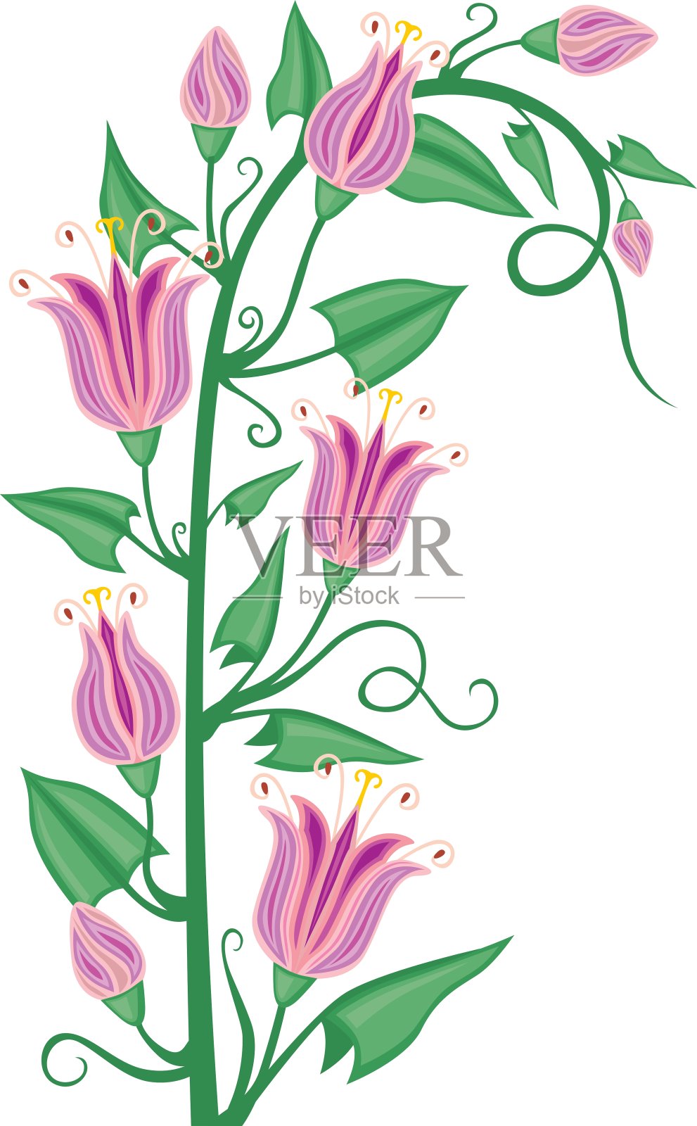 开花旋花类设计元素图片