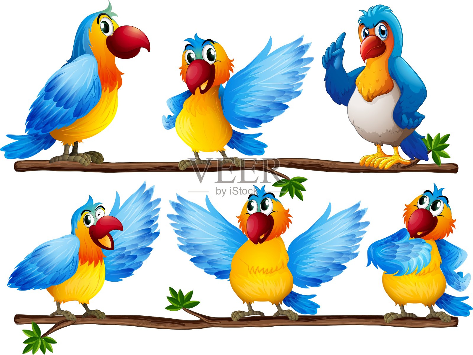 鹦鹉插画图片素材