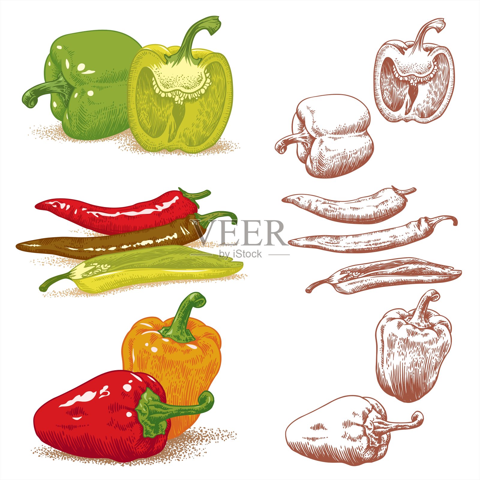 辣椒插画图片素材