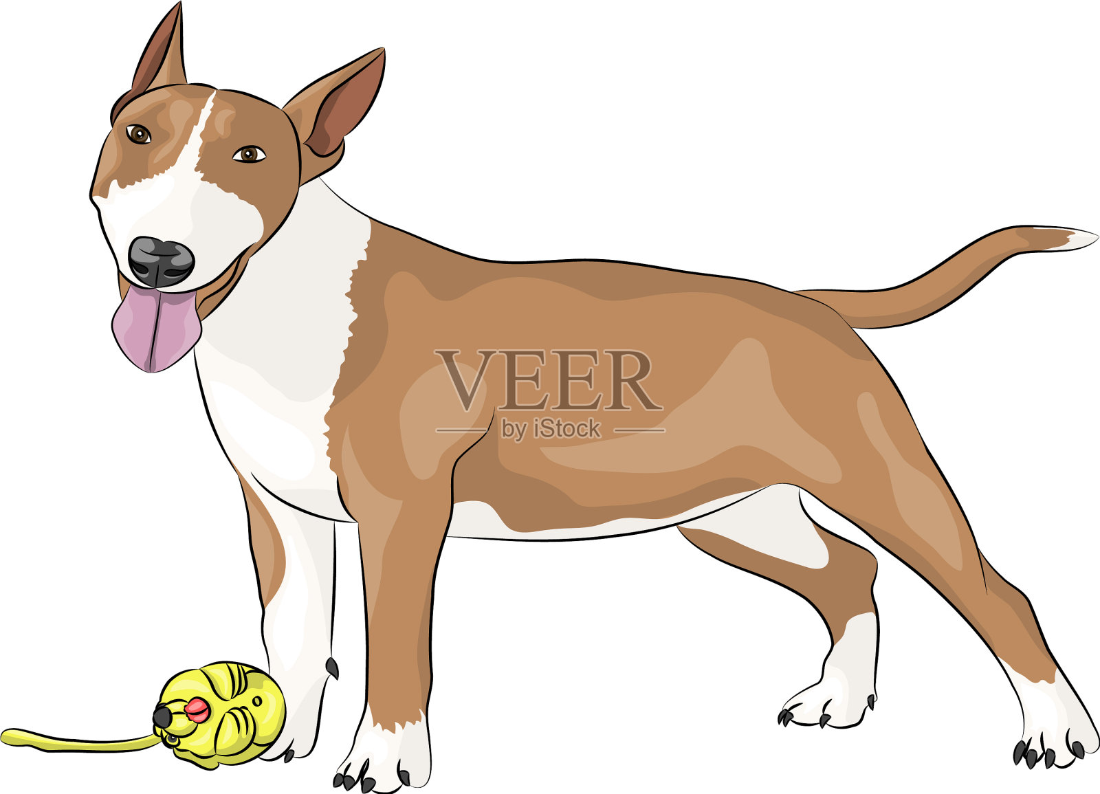 斗牛梗b设计元素图片