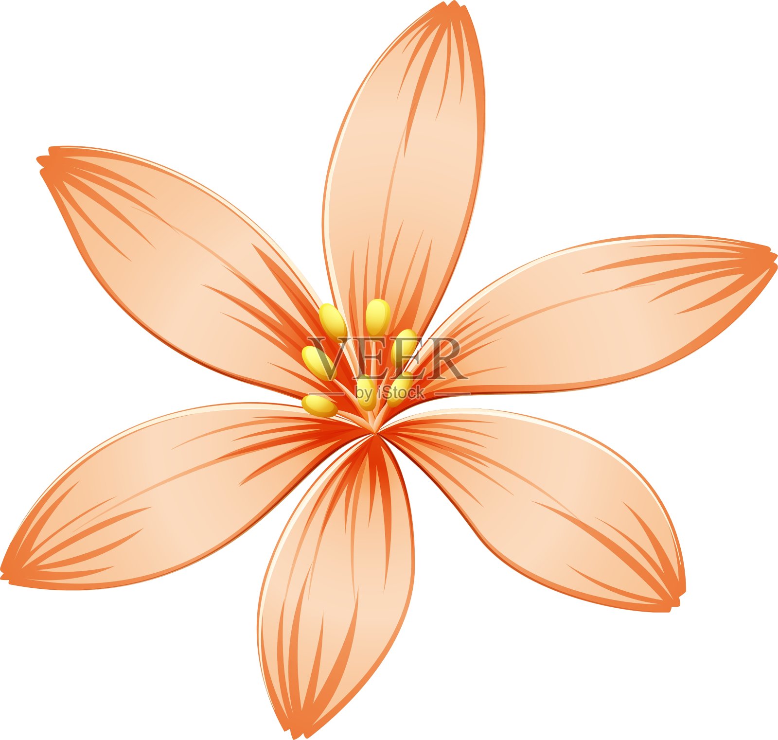 新鲜的五瓣橙花设计元素图片