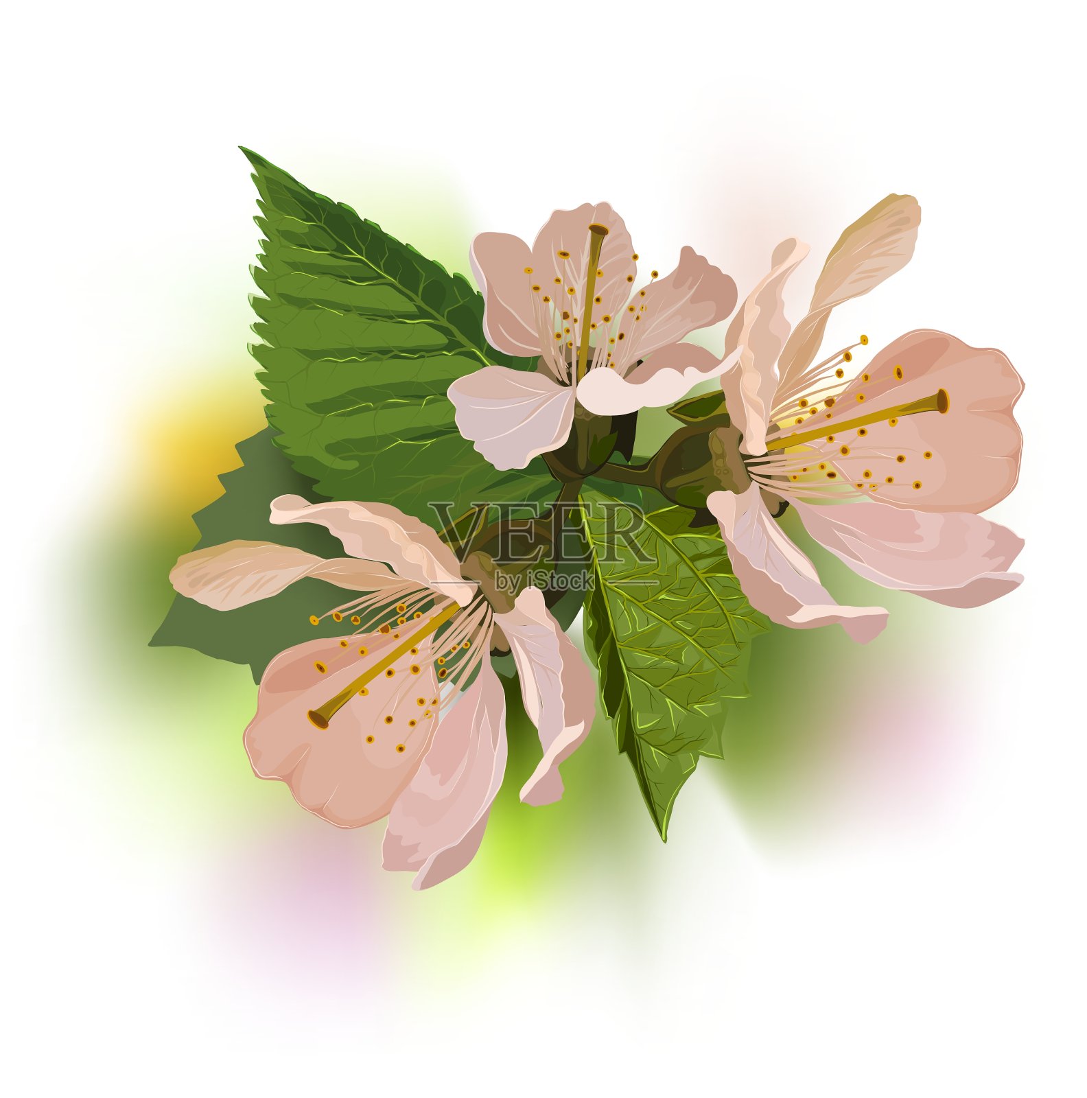 一枝杏花设计元素图片