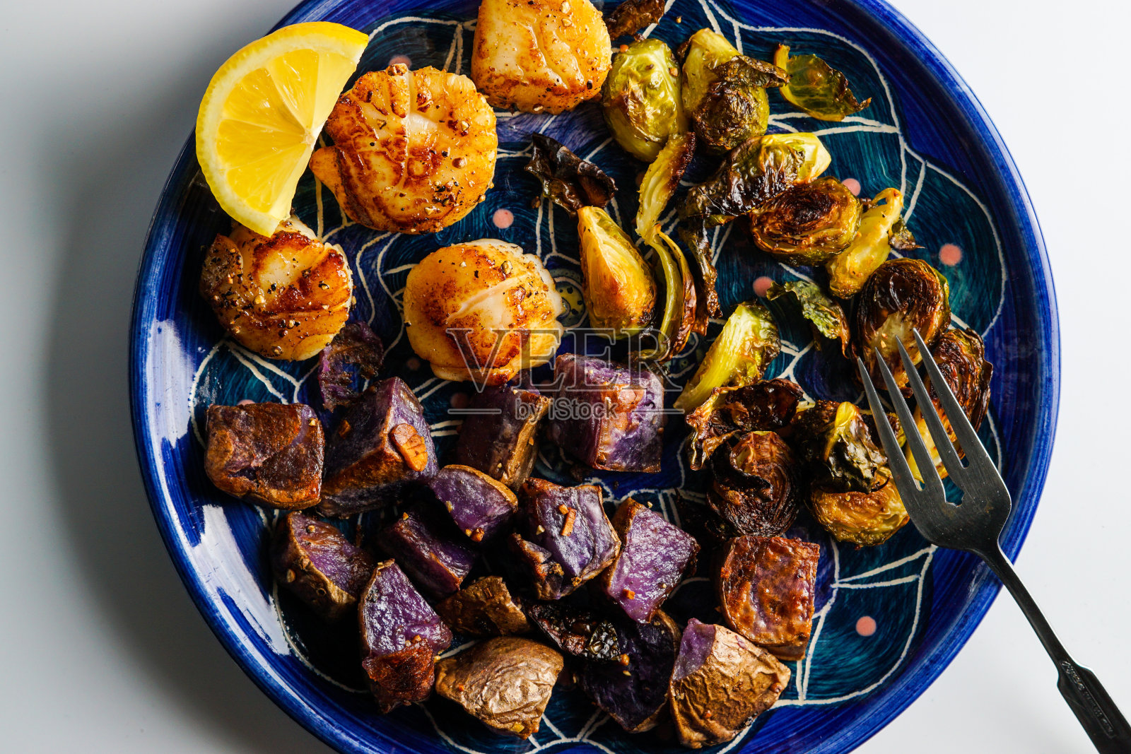 扇贝照片摄影图片