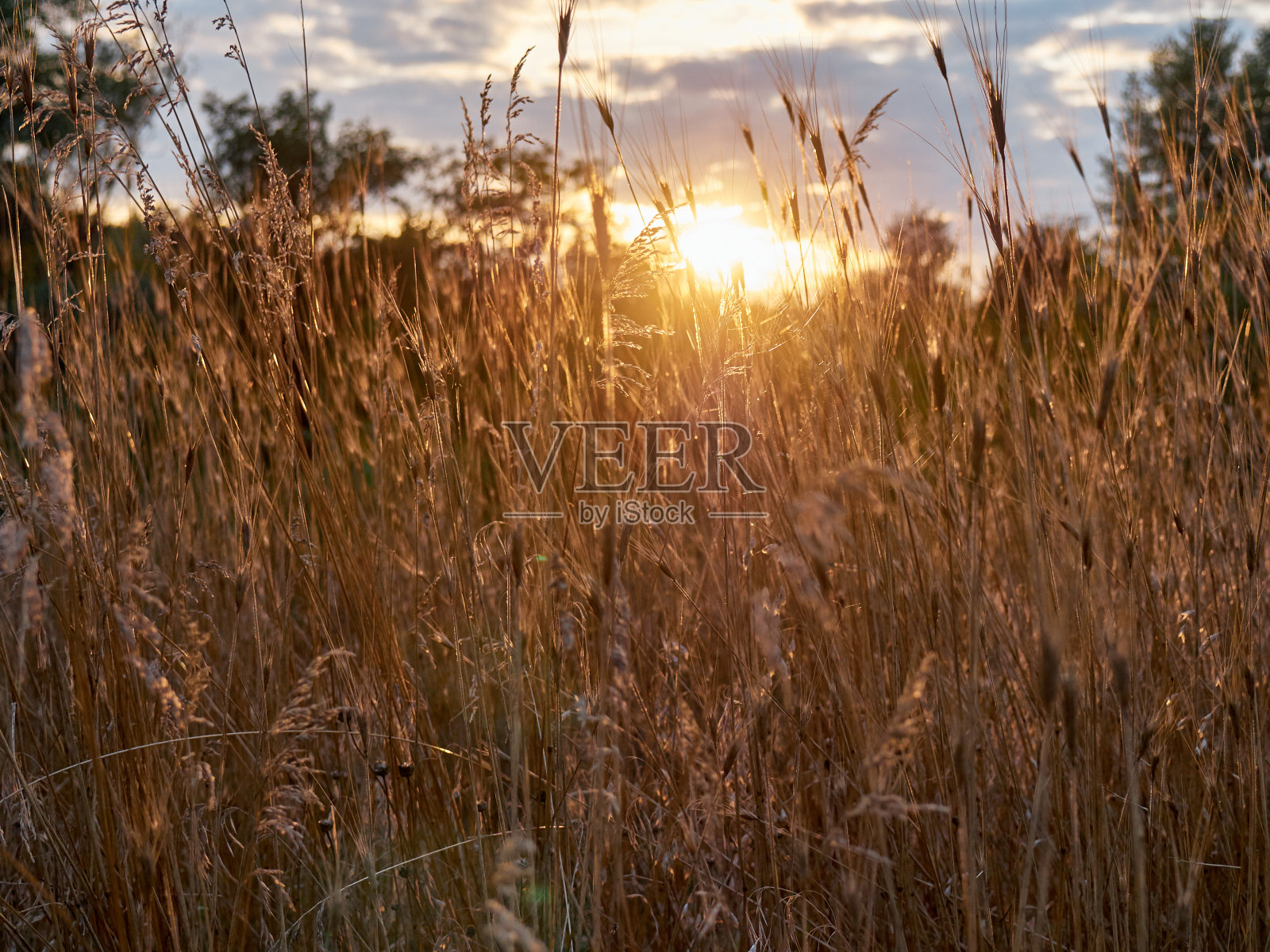 日落时的干草照片摄影图片