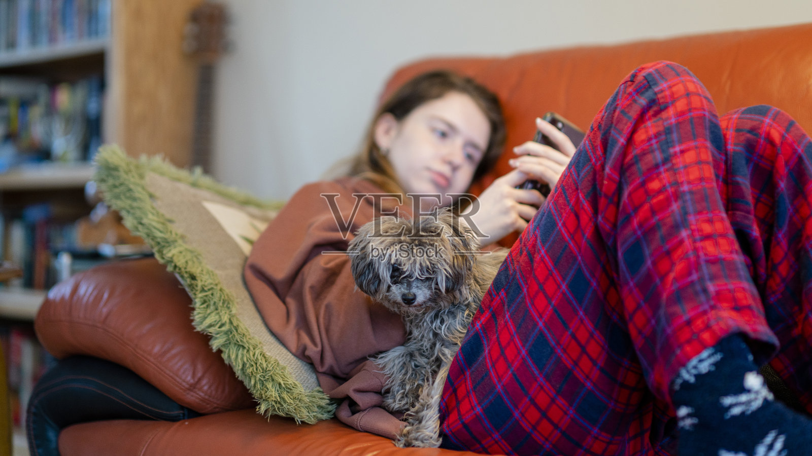 抱着小宠物狗在沙发上休息,并使用智能手机与朋友聊天的年轻女子。焦点在狗身上,女人的脸在背景中虚化照片摄影图片