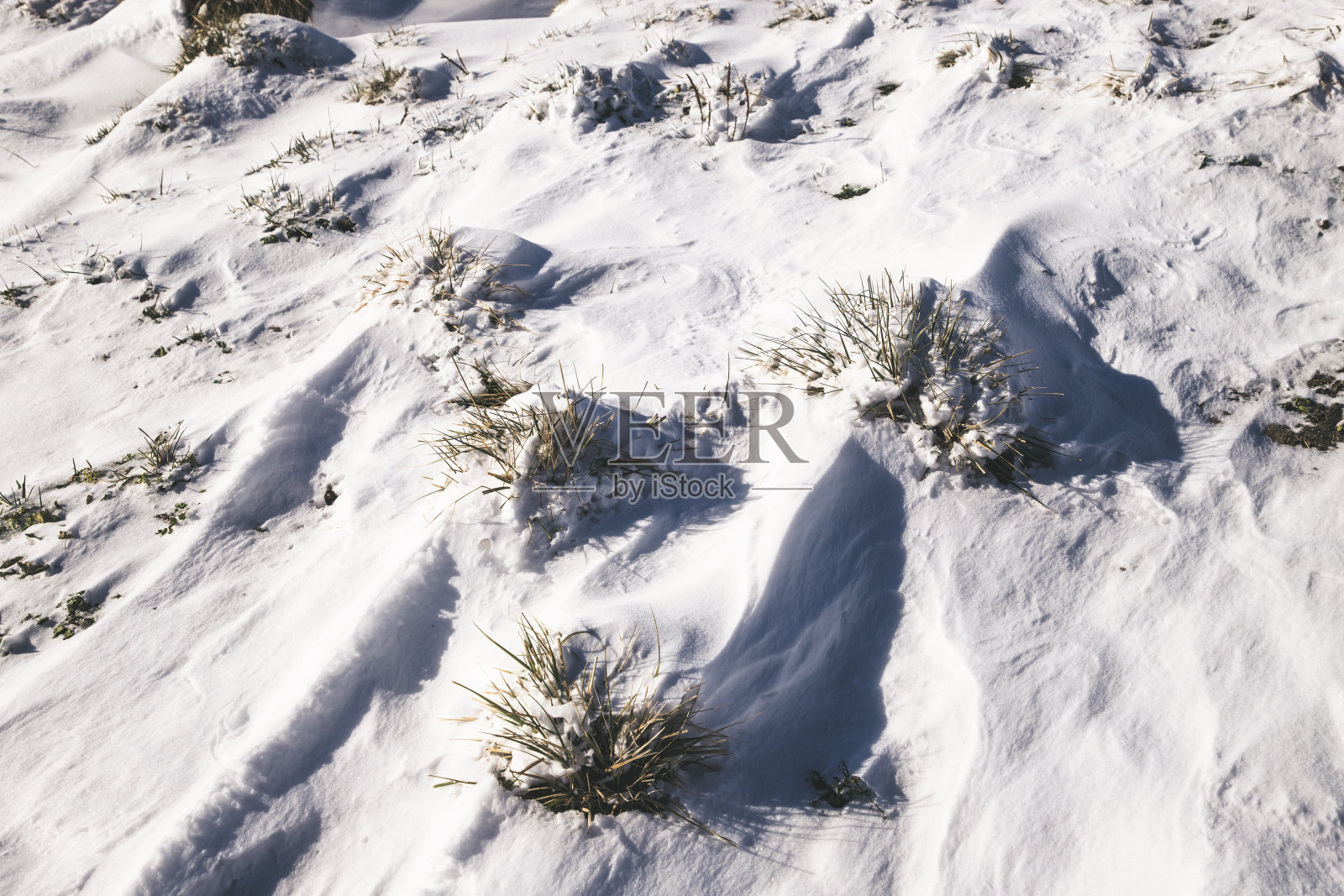 雪结构2照片摄影图片