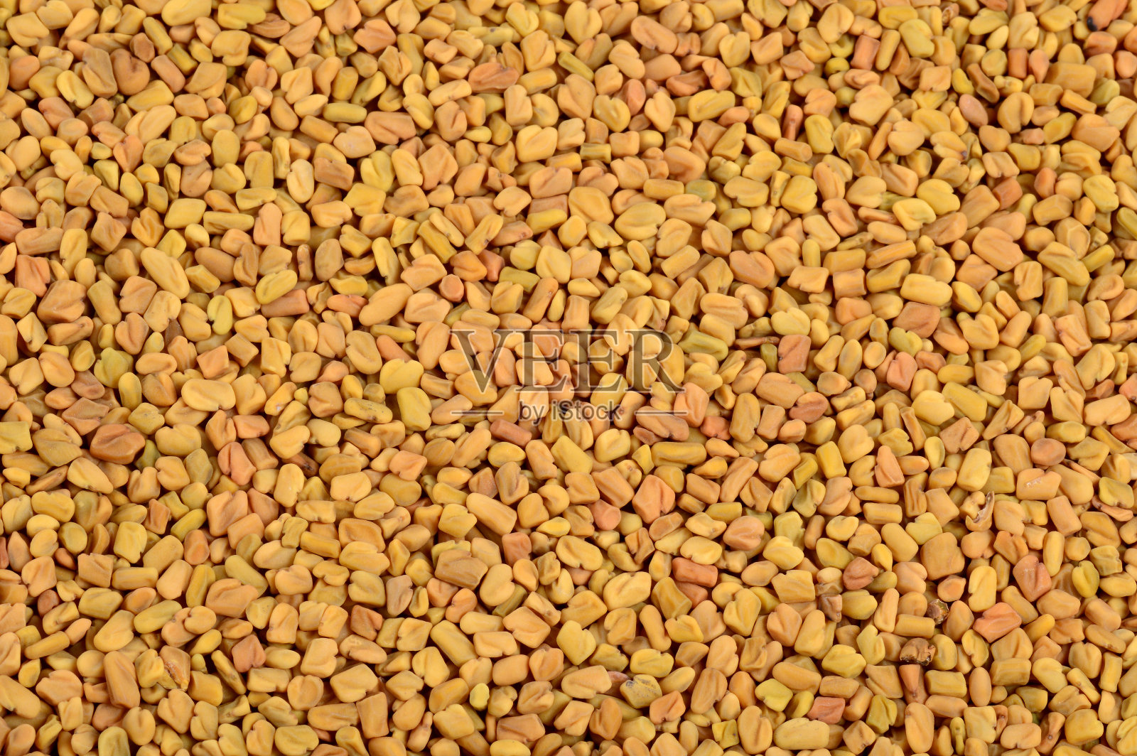 以胡芦巴种子为背景。近距离的纹理照片摄影图片