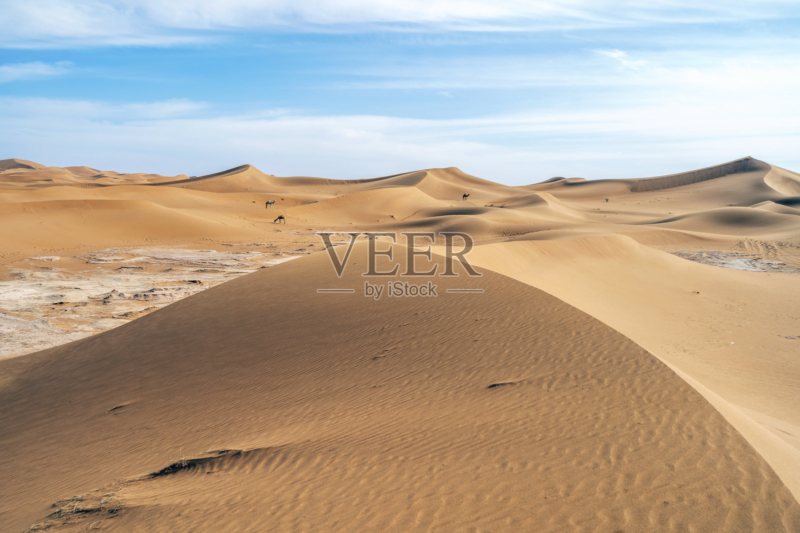 非洲撒哈拉沙漠上美丽的沙丘和骆驼景观照片摄影图片