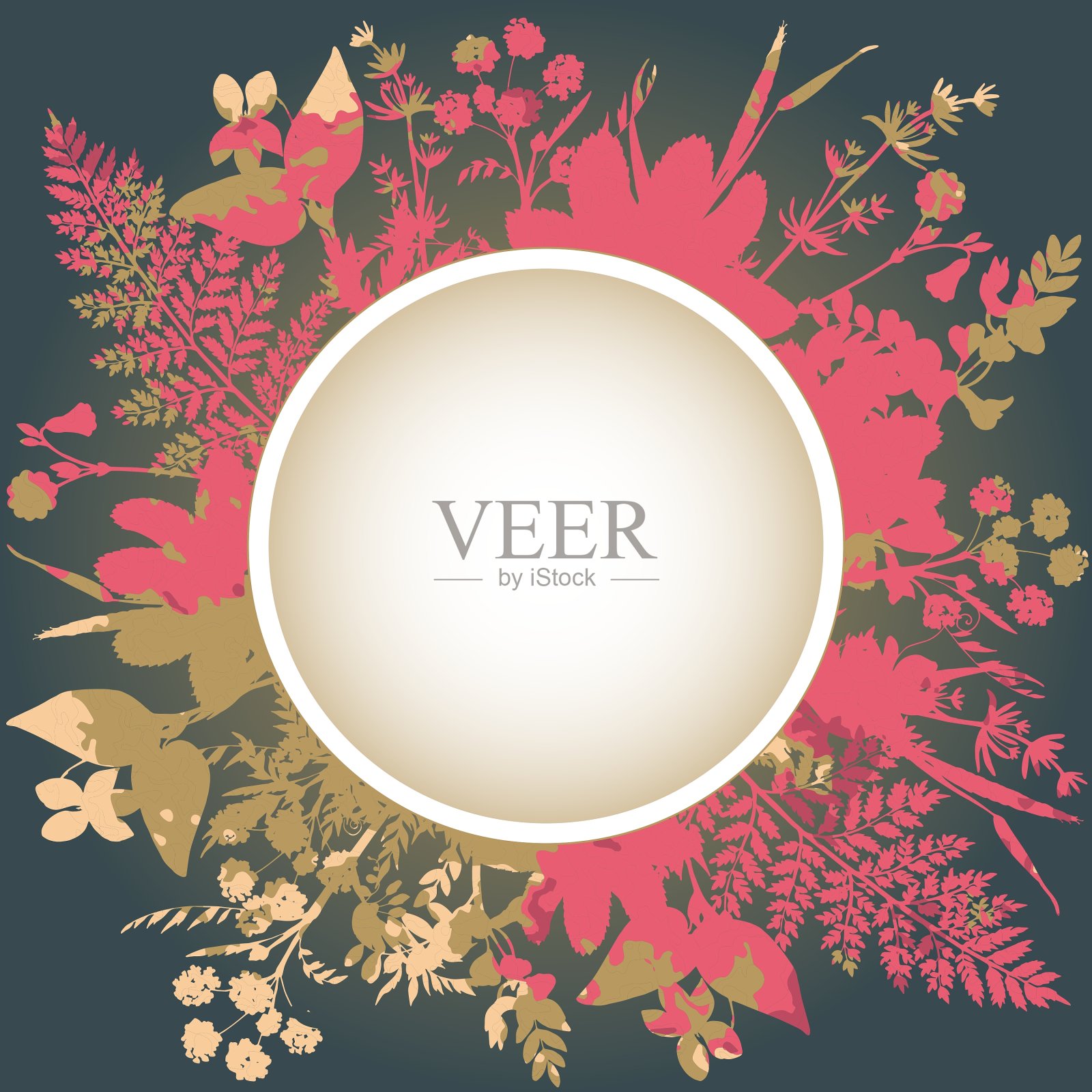 装饰框架与鲜花和香草插画图片素材