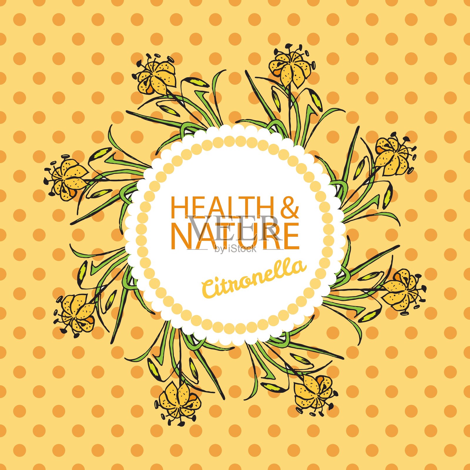 健康与自然收集香茅插画图片素材