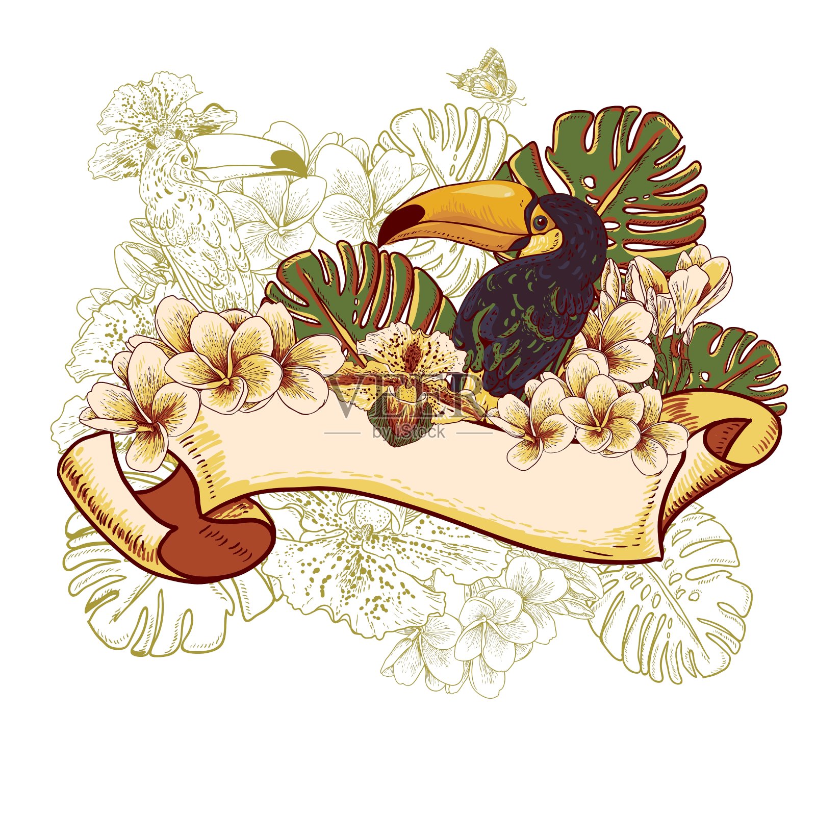 热带奇异花卡片与巨嘴鸟插画图片素材