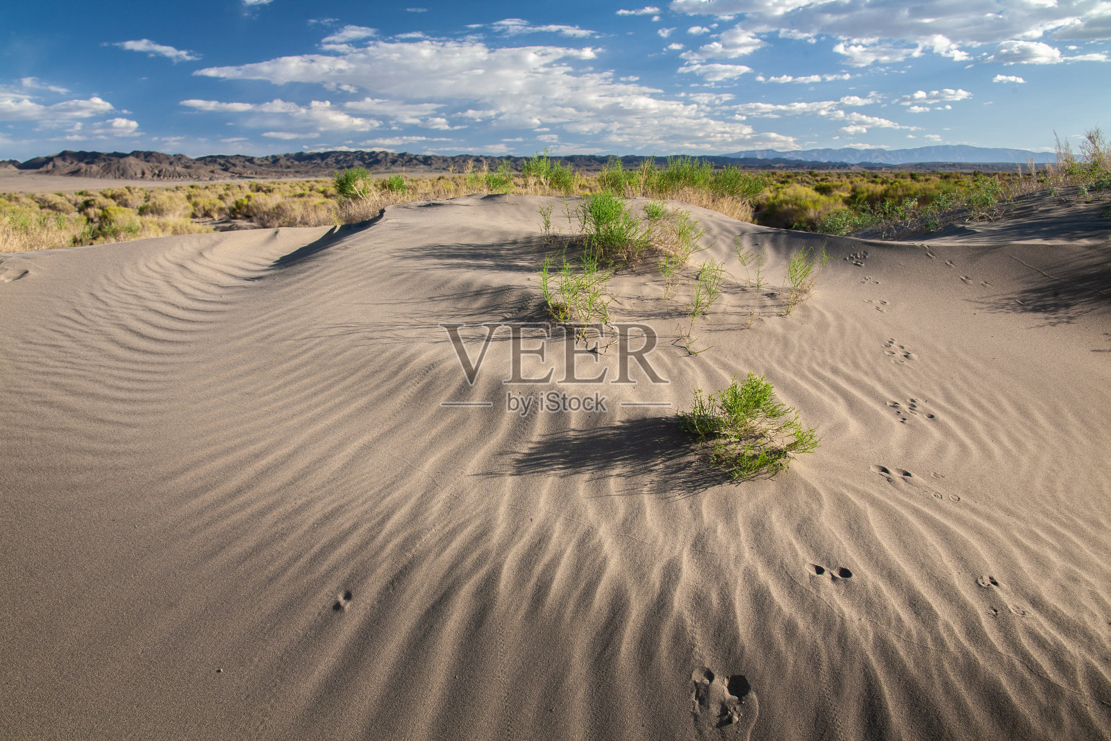 戈壁沙漠歌唱沙丘照片摄影图片