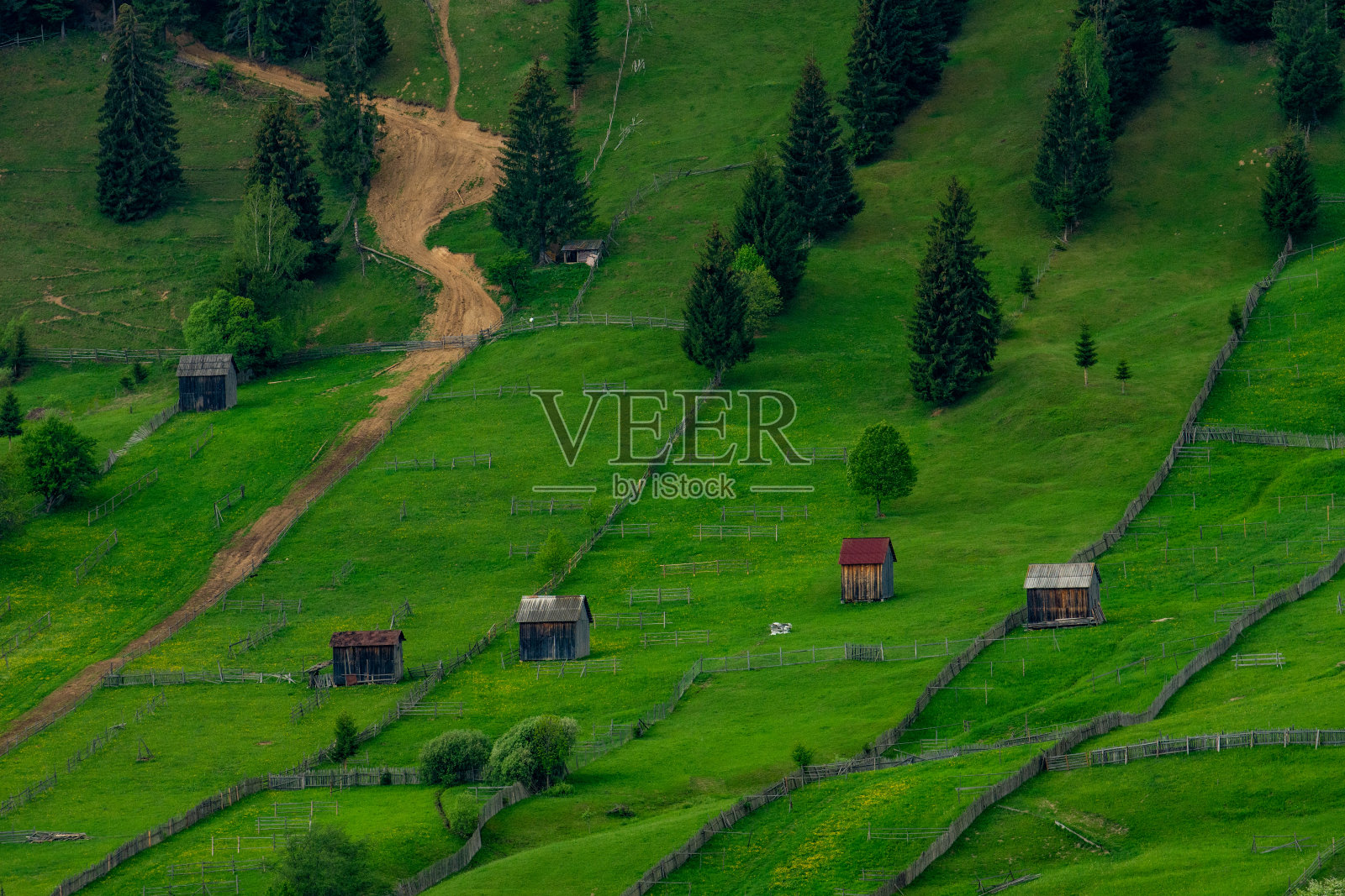 山路上有赛车照片摄影图片