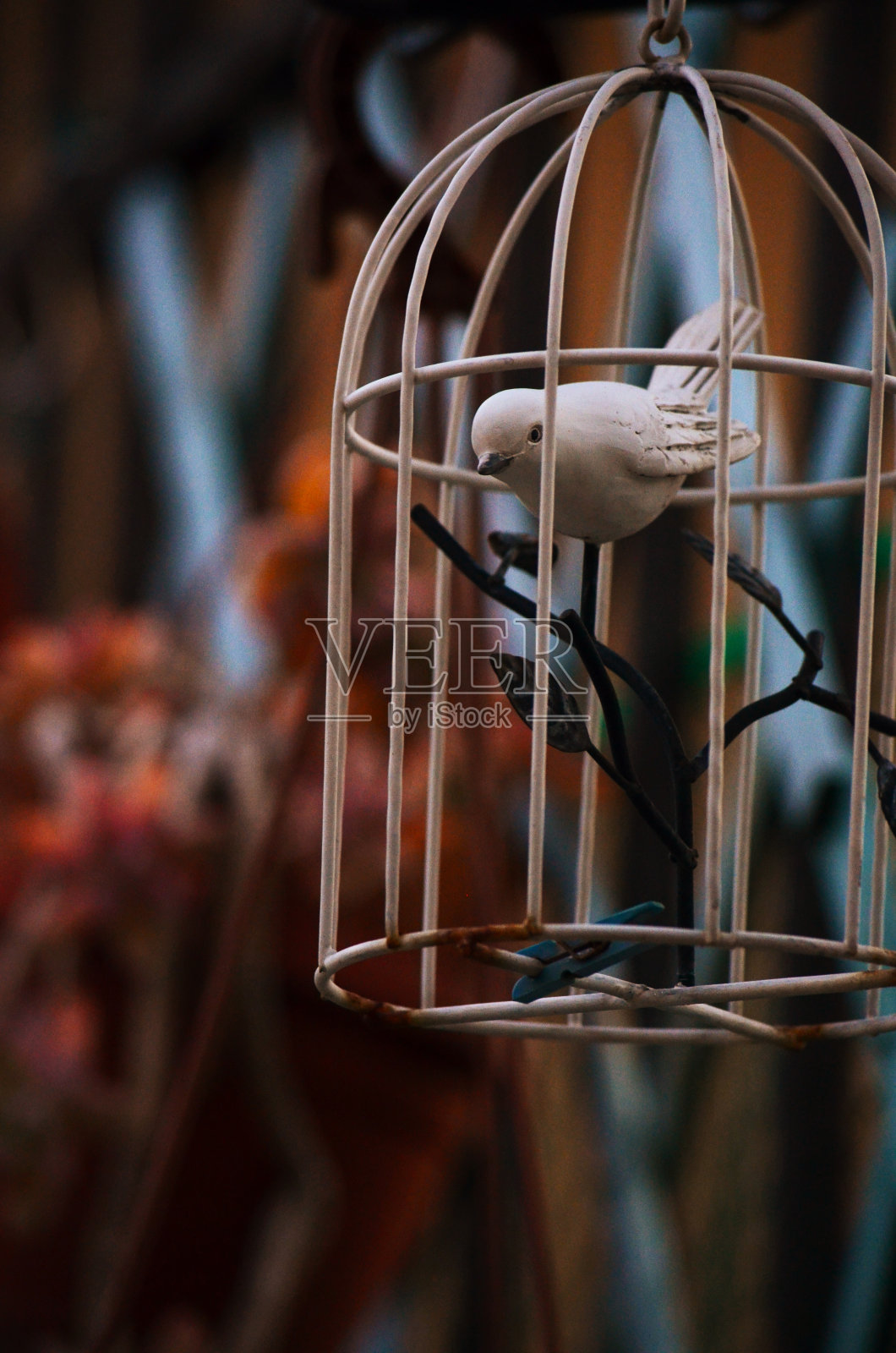 细节照片摄影图片