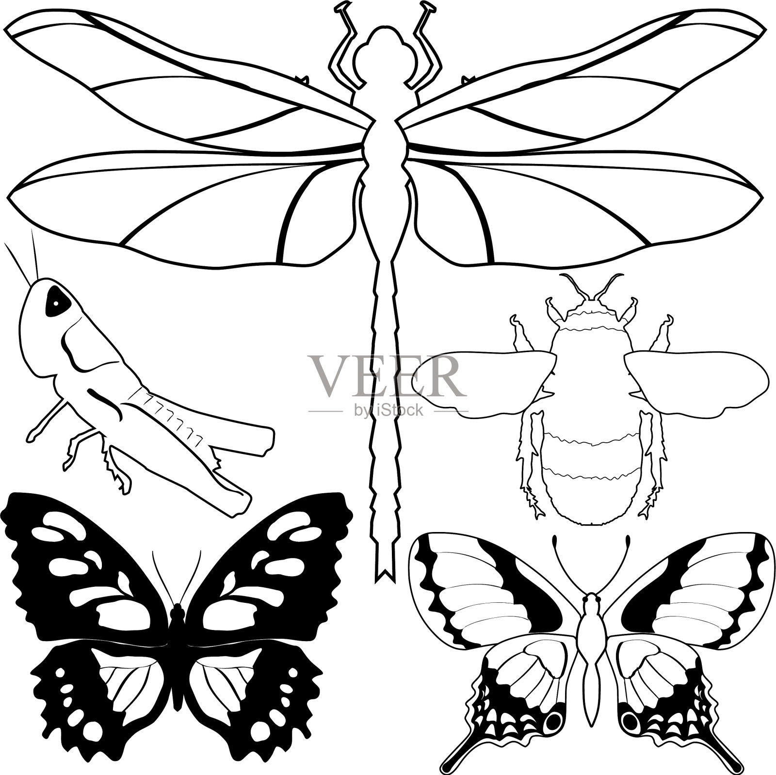 不同昆虫的集合设计元素图片