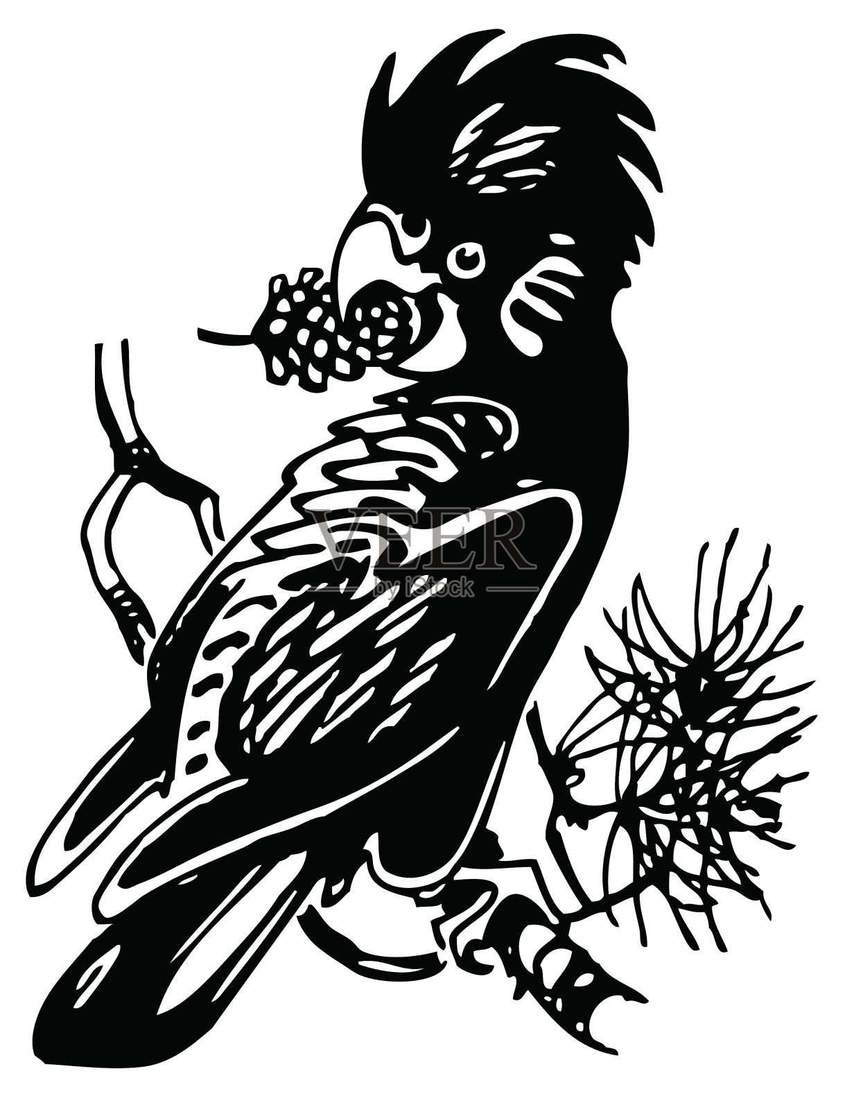 风头鹦鹉鸟设计元素图片