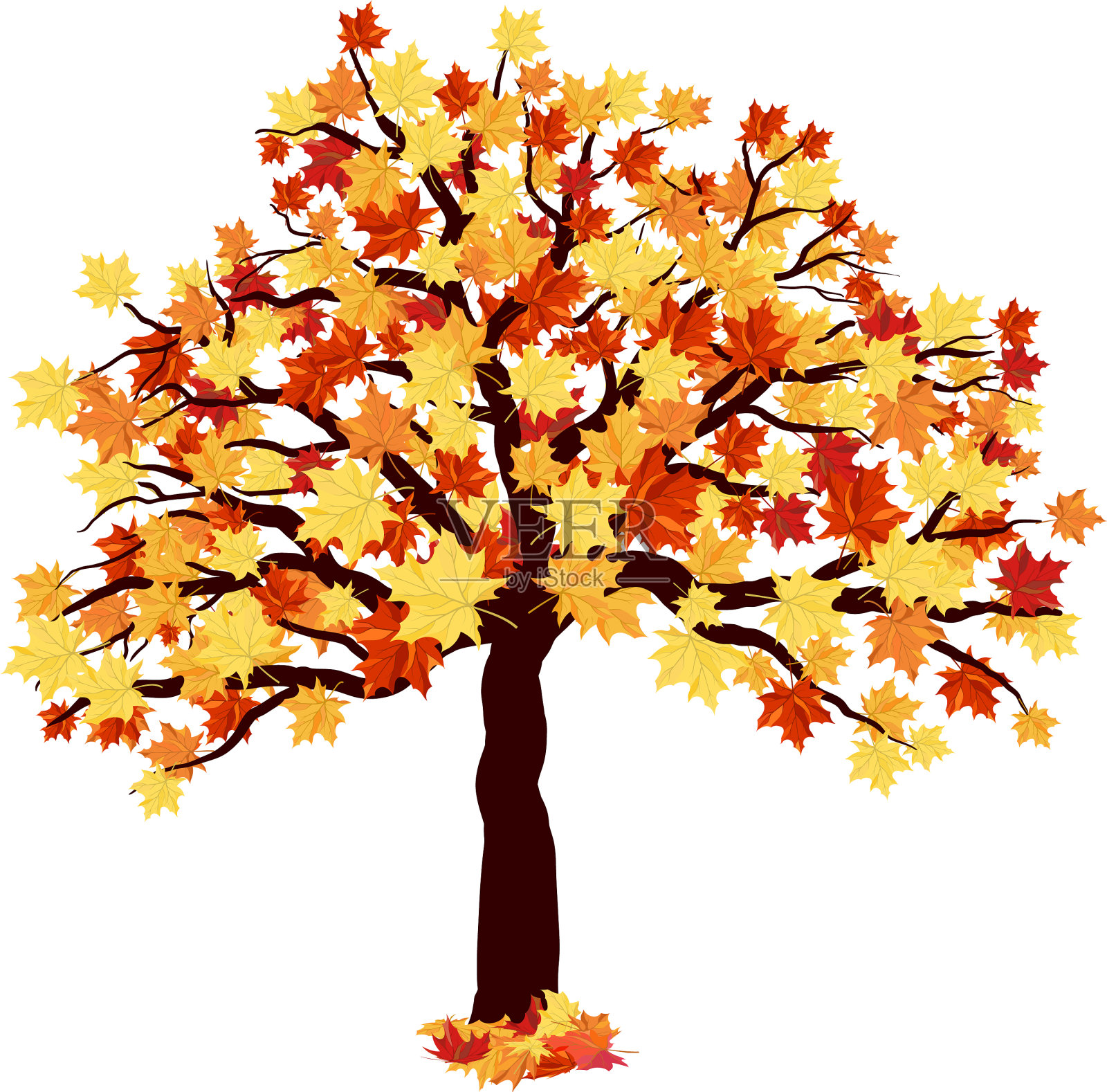 秋天的枫树设计元素图片