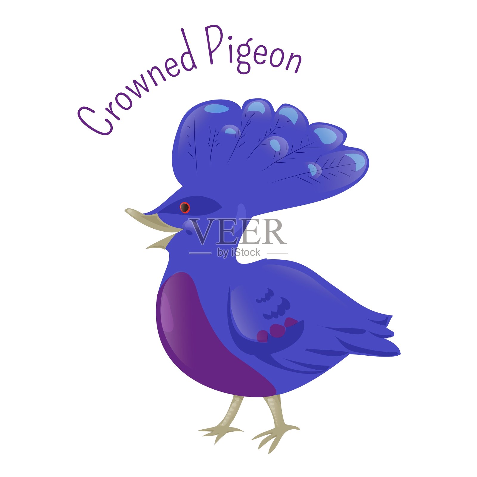 孤立在白色背景上的冠鸽设计元素图片