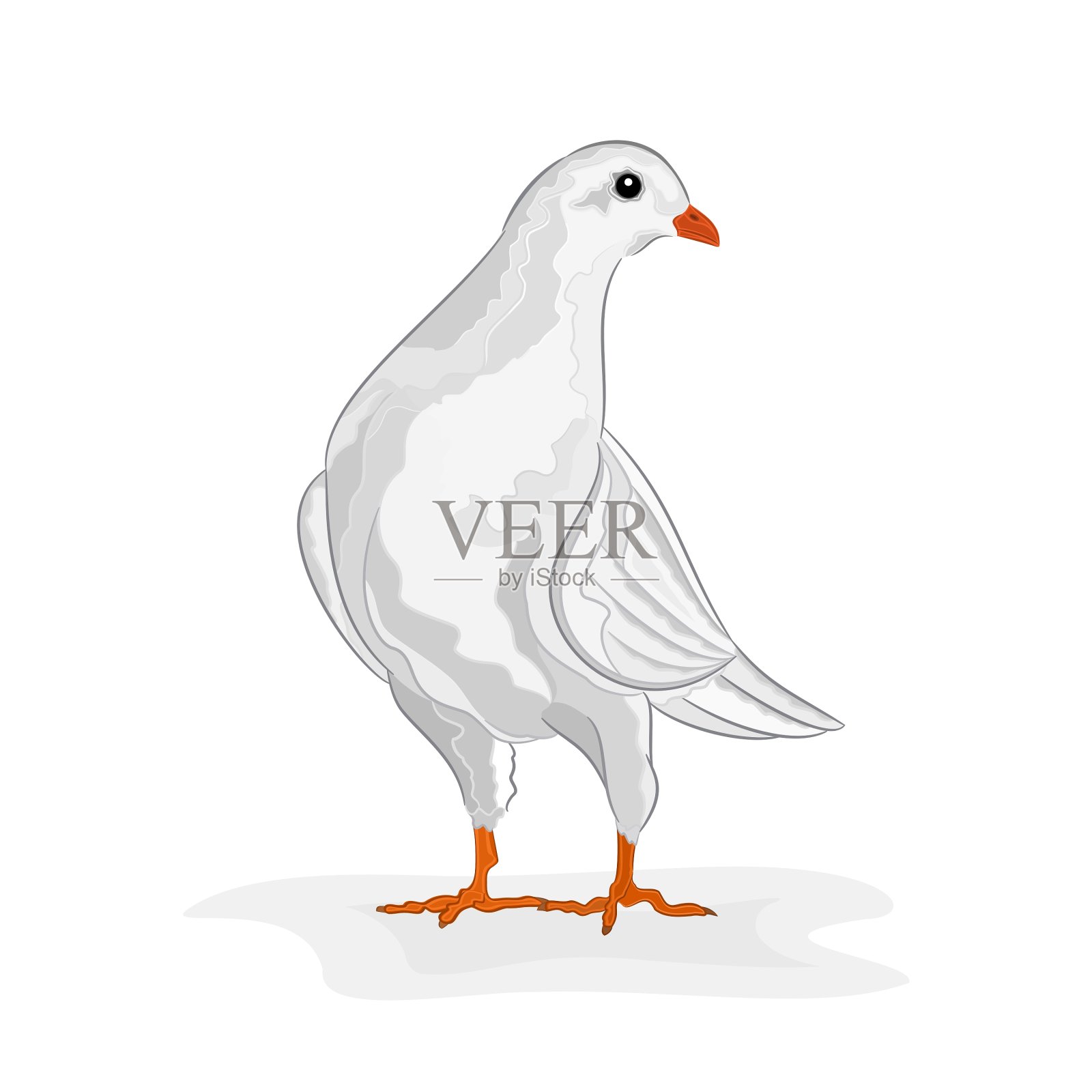 白鸽是和平的象征设计元素图片