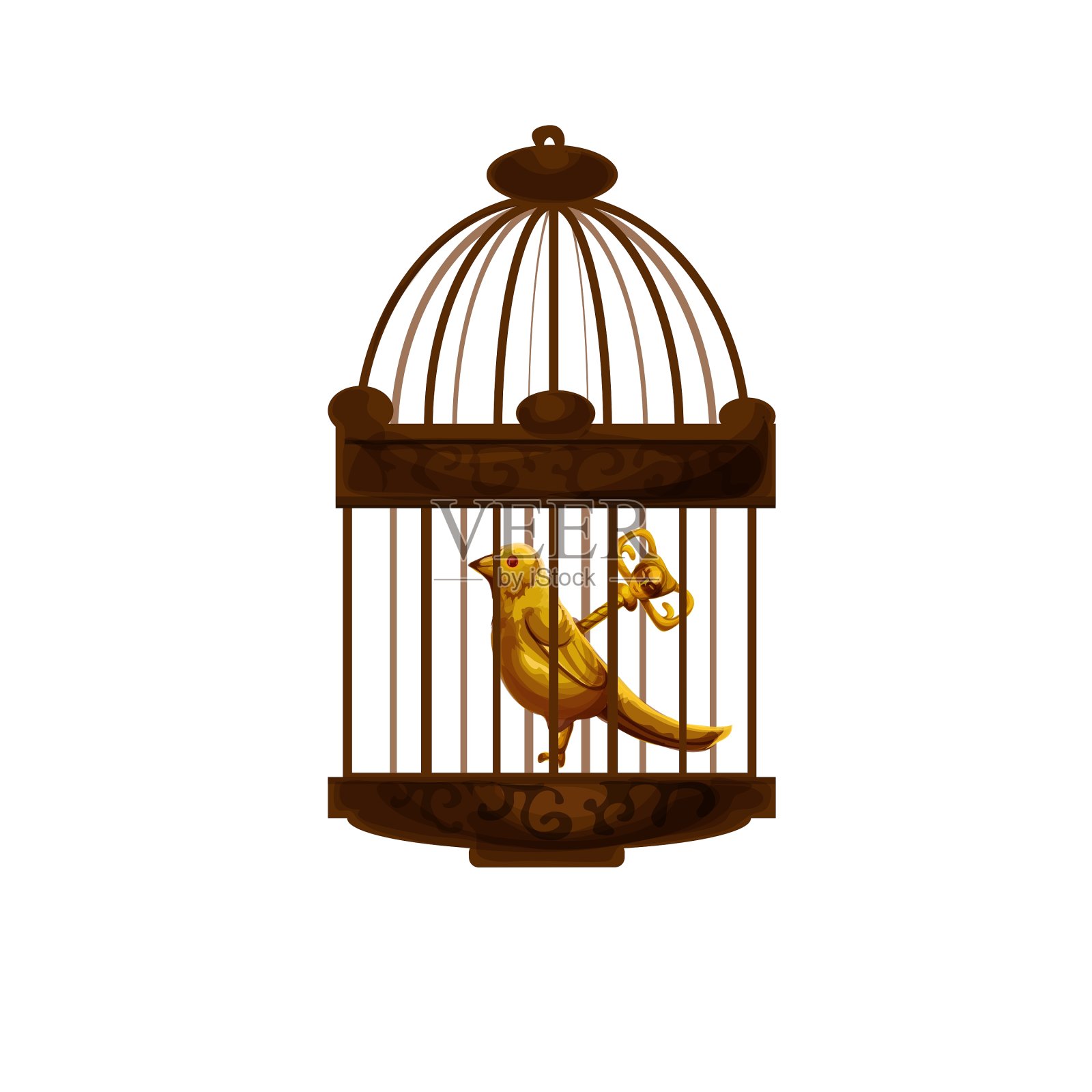 详细的孤立的鸟设计元素图片