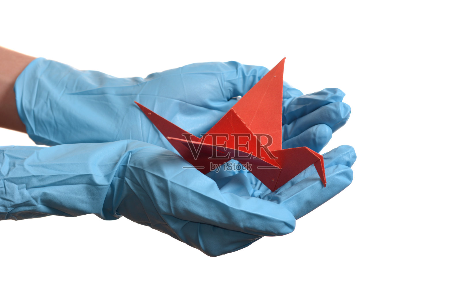 折纸鹤手拿橡胶手套罩白色照片摄影图片