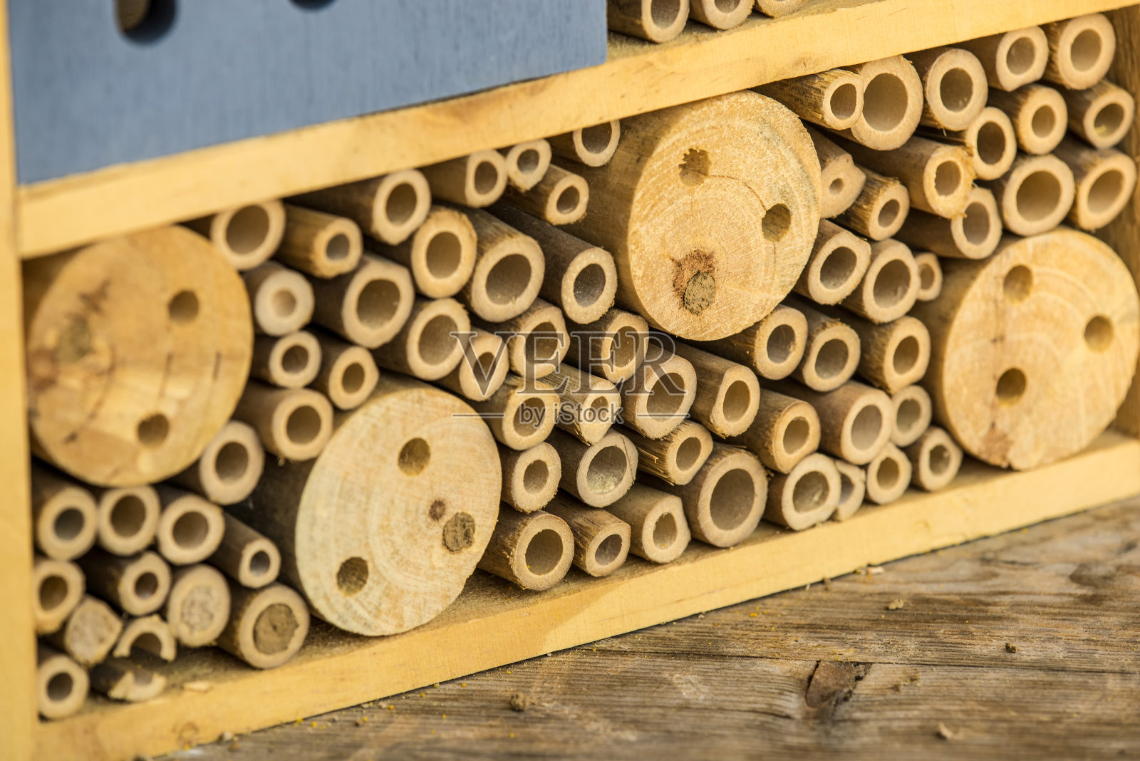 昆虫旅馆有封闭的欧洲兰花蜜蜂巢穴照片摄影图片