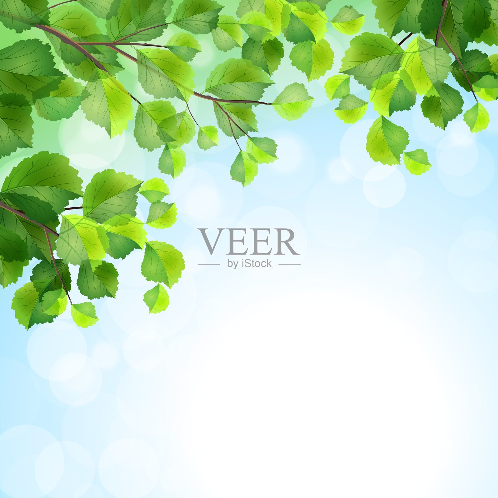 绿叶树枝背景插画图片素材