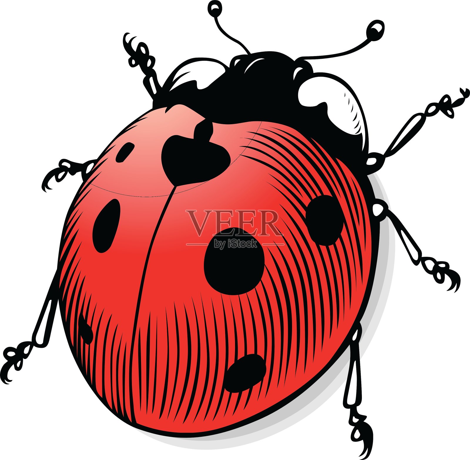 瓢虫设计元素图片