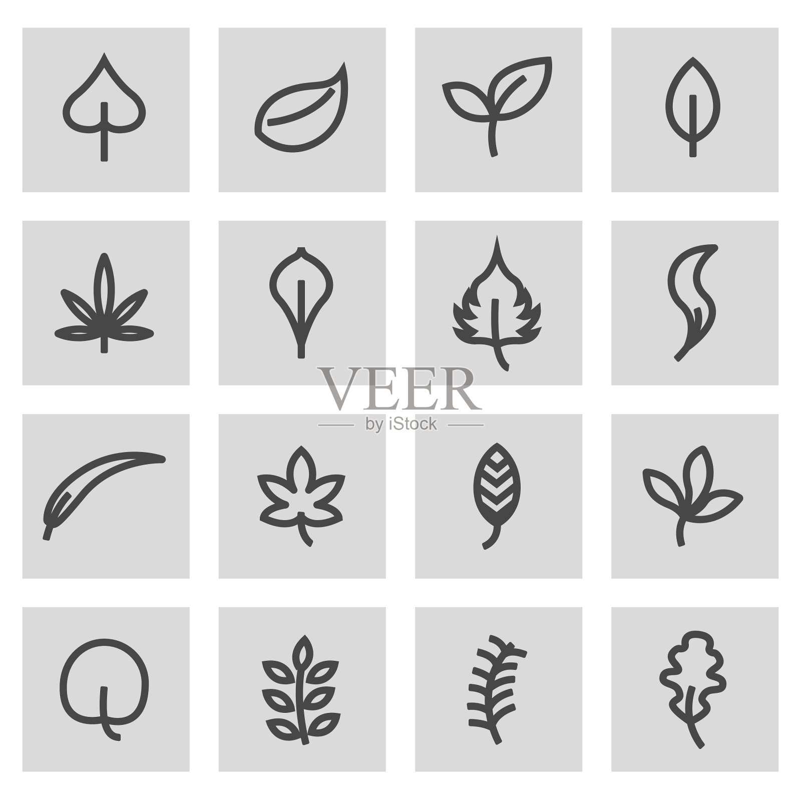 线条叶片图标集图标素材