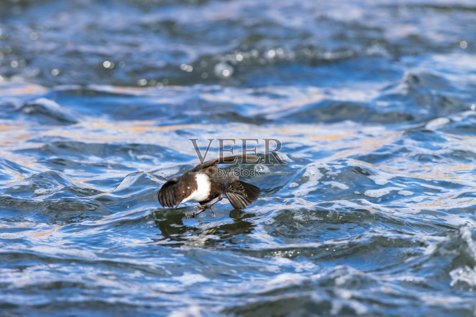 北斗七星(切碎)照片摄影图片