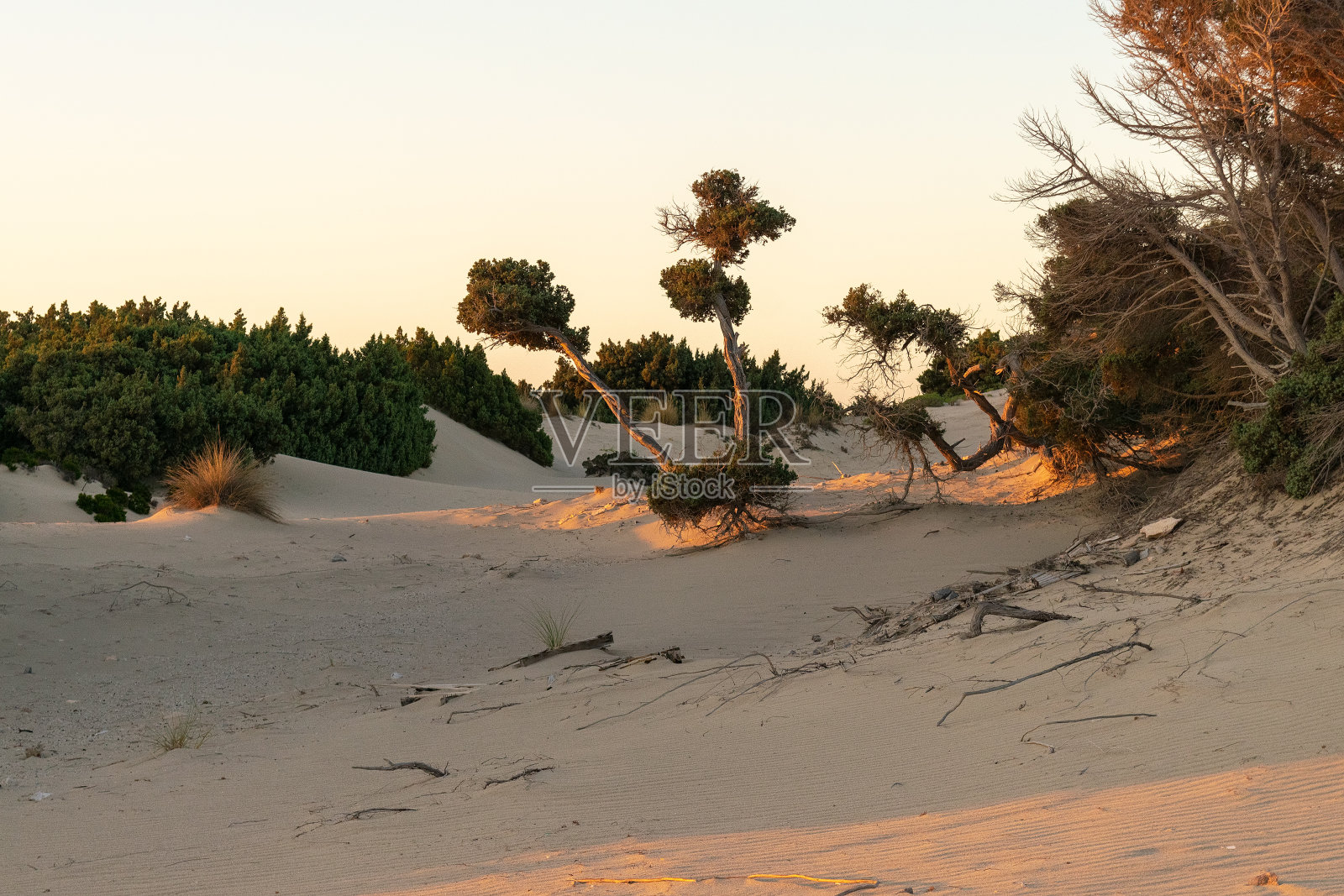 Elafonisos的Simos海滩。著名的旅游胜地。照片摄影图片