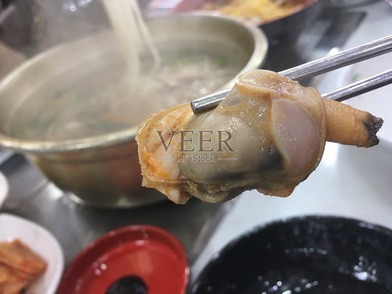 蛤照片摄影图片