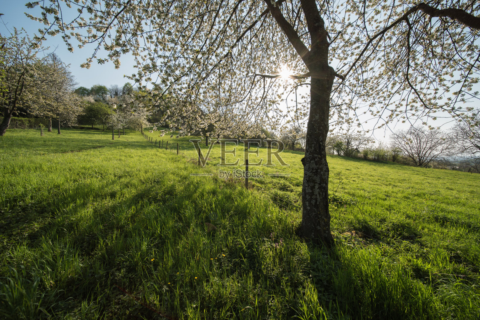 自然景观照片摄影图片